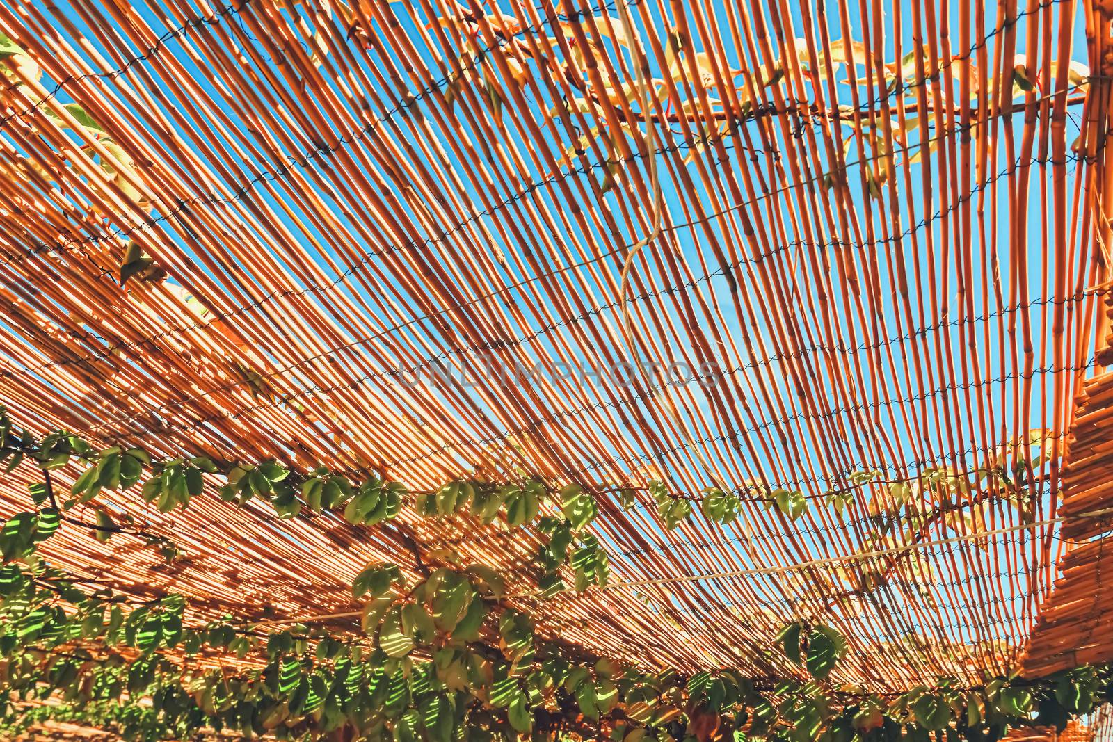 Wooden roof on the beach by Anneleven