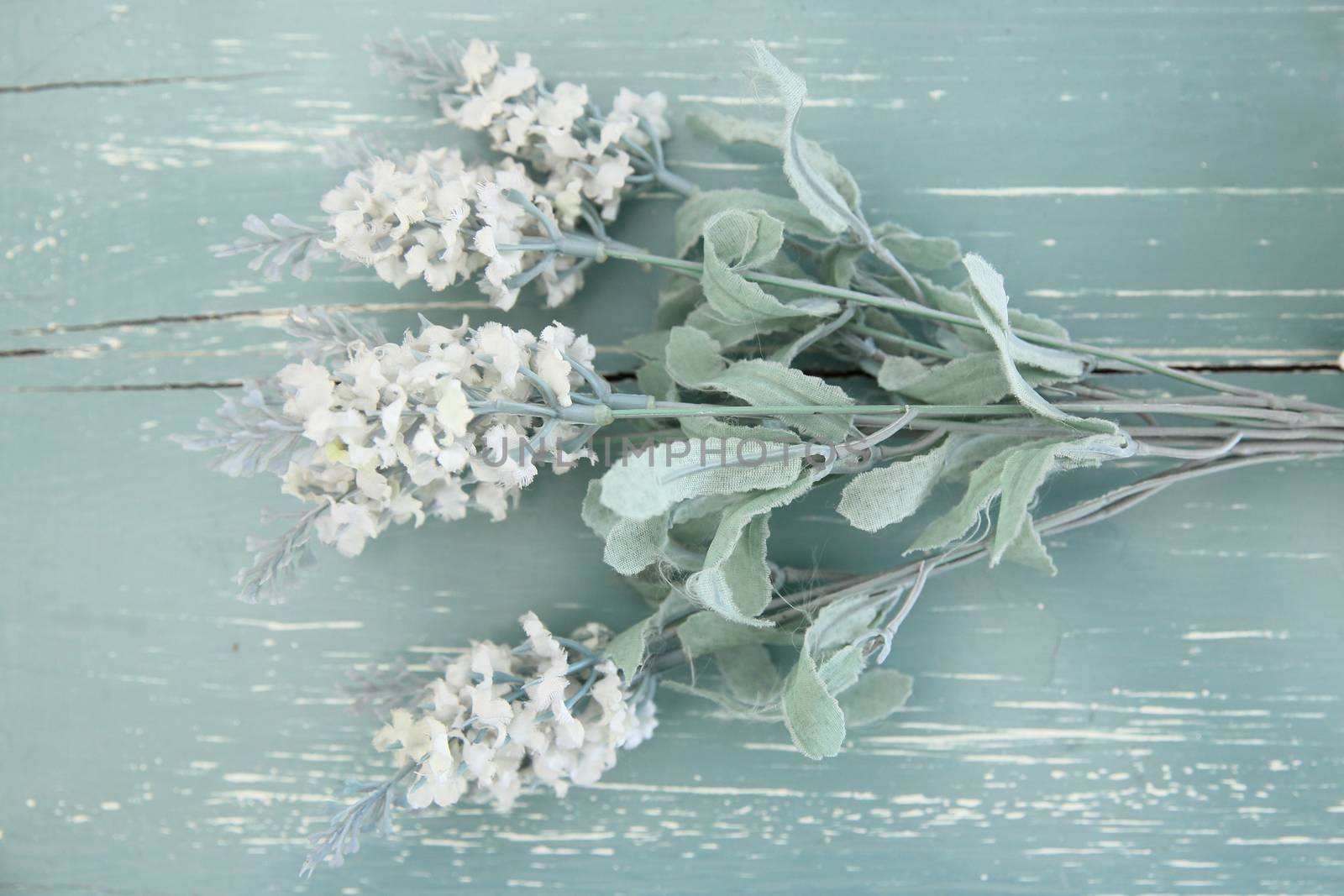 Flowers on vintage wood background