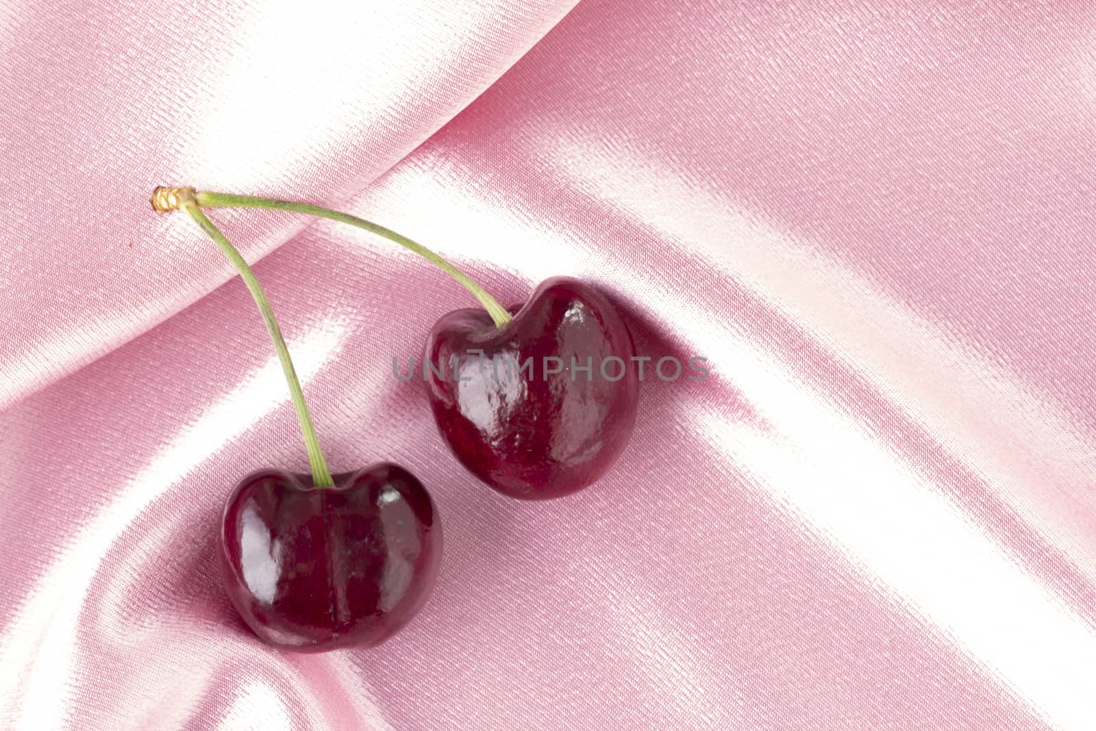 Two fresh cherries on pink satin cloth background