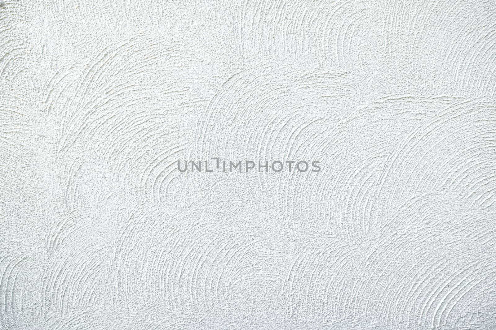White plaster textured background.