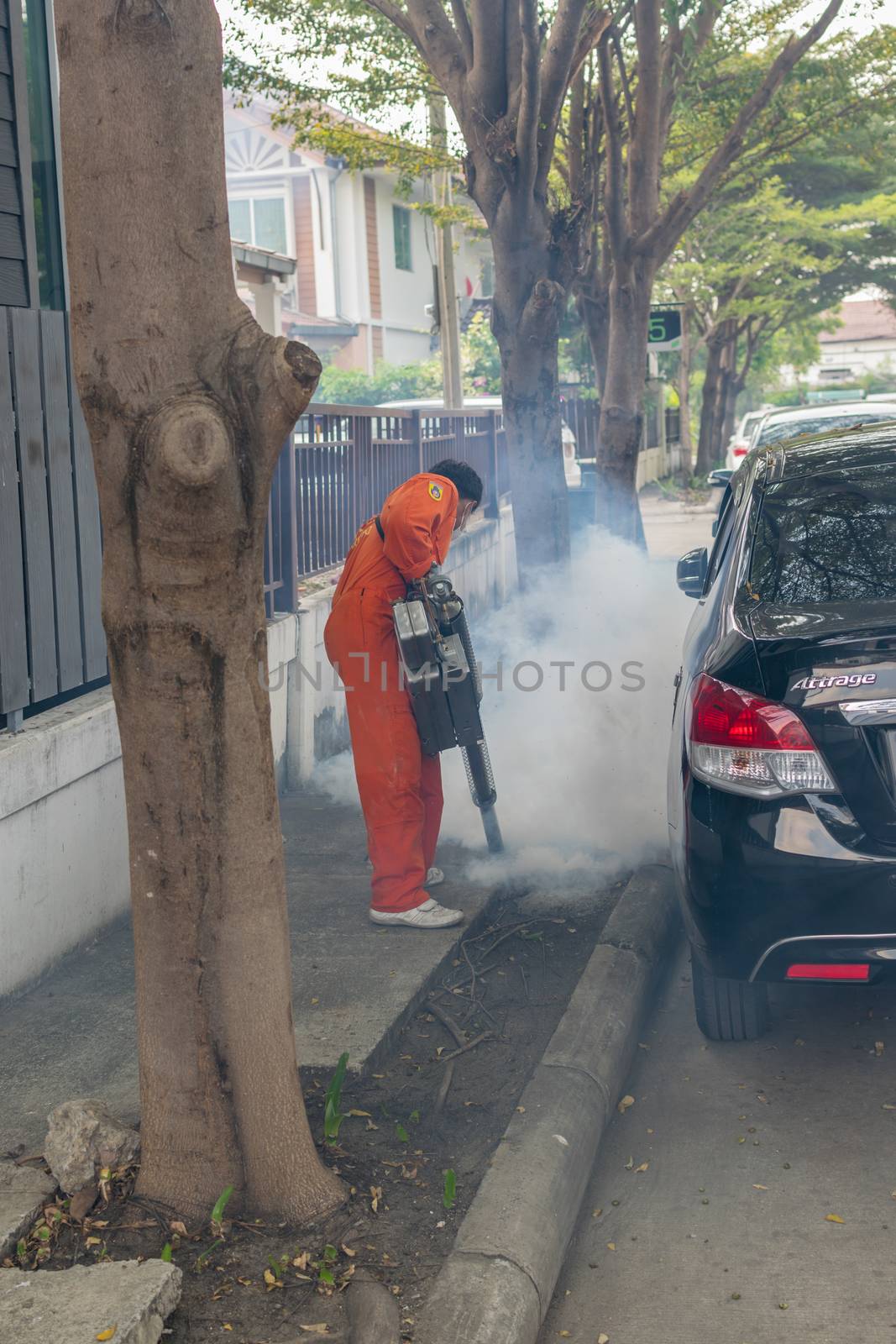 Fogging DDT spray kill mosquito by PongMoji