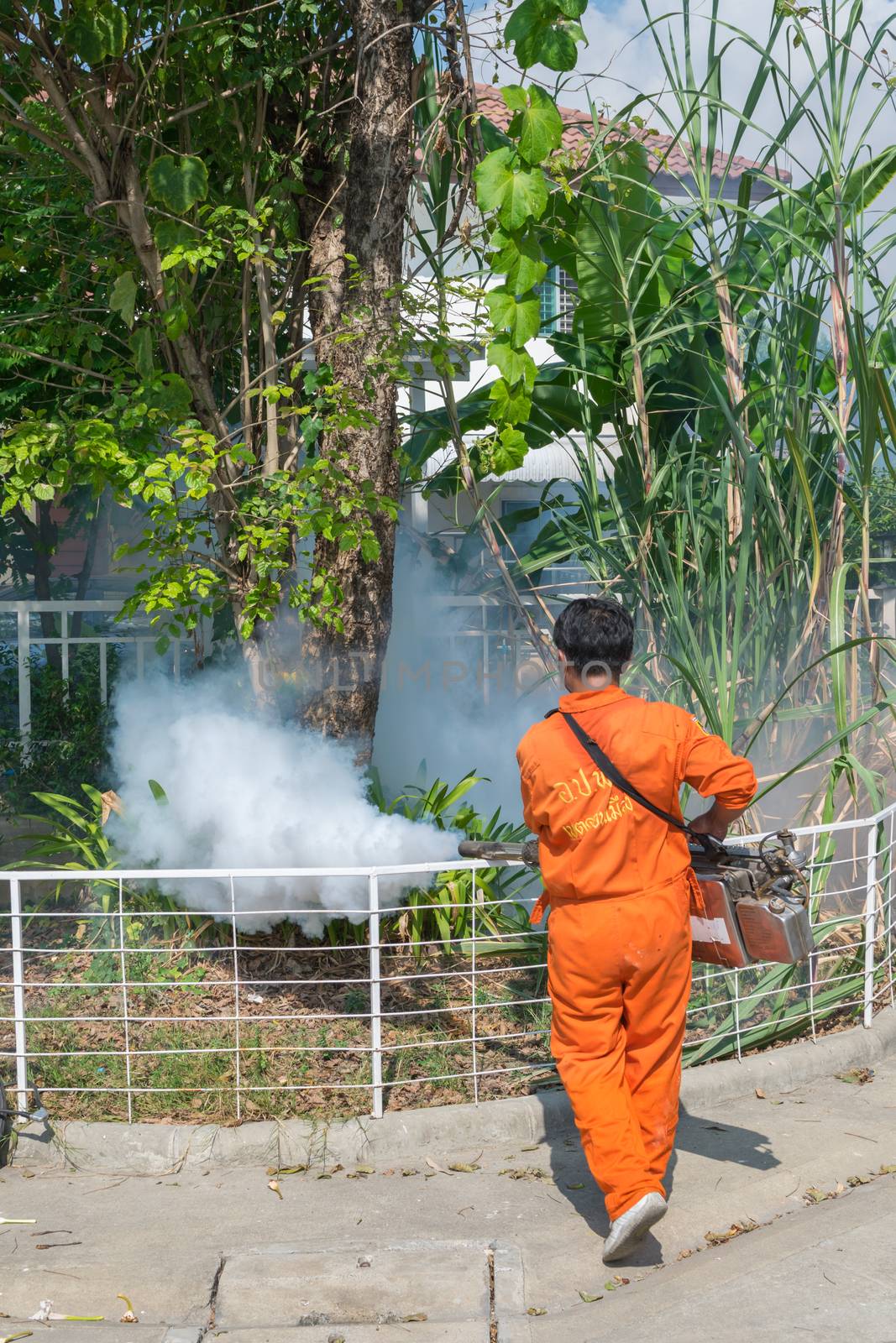 Fogging DDT spray kill mosquito by PongMoji