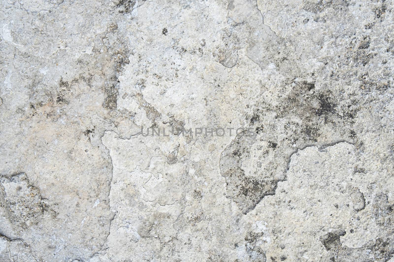 grunge concrete background by Nawoot