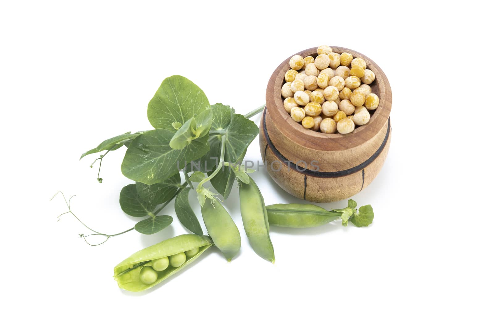 Dried peas in a wooden barrel and fresh plant with pods isolated on a white background