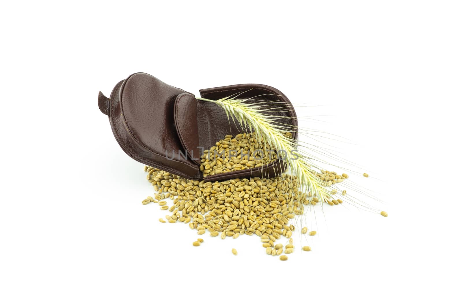 Open leather purse with wheat seeds spilling out onto a white background and ear of golden cereal on top in a conceptual grain price still life on white