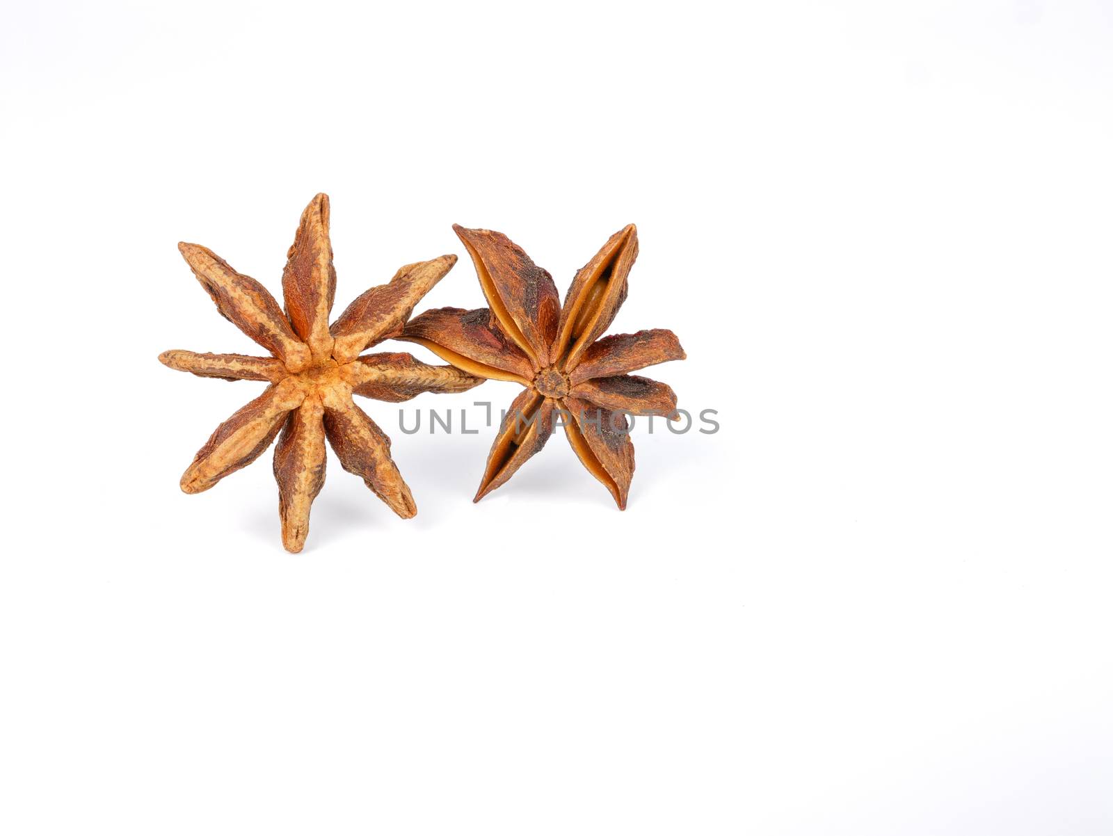 two brown star anises, isolated on white background
