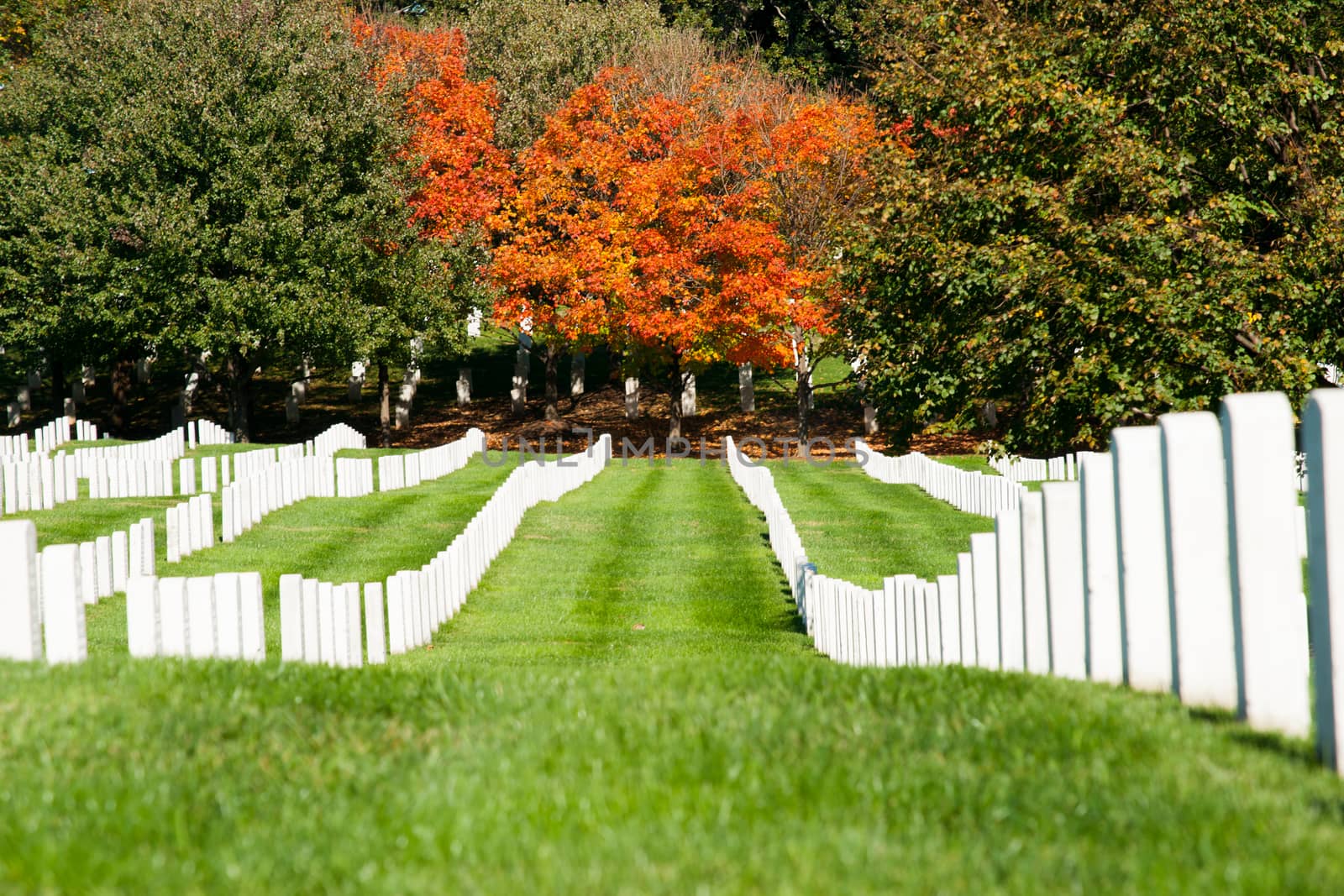 Arlington USA- October 26 2014; Leading lines of Arlington National Cemetery headstones inhistoric graveyard of national servicemen and heroes in Virginia across brideg from Lincoln Memorial.