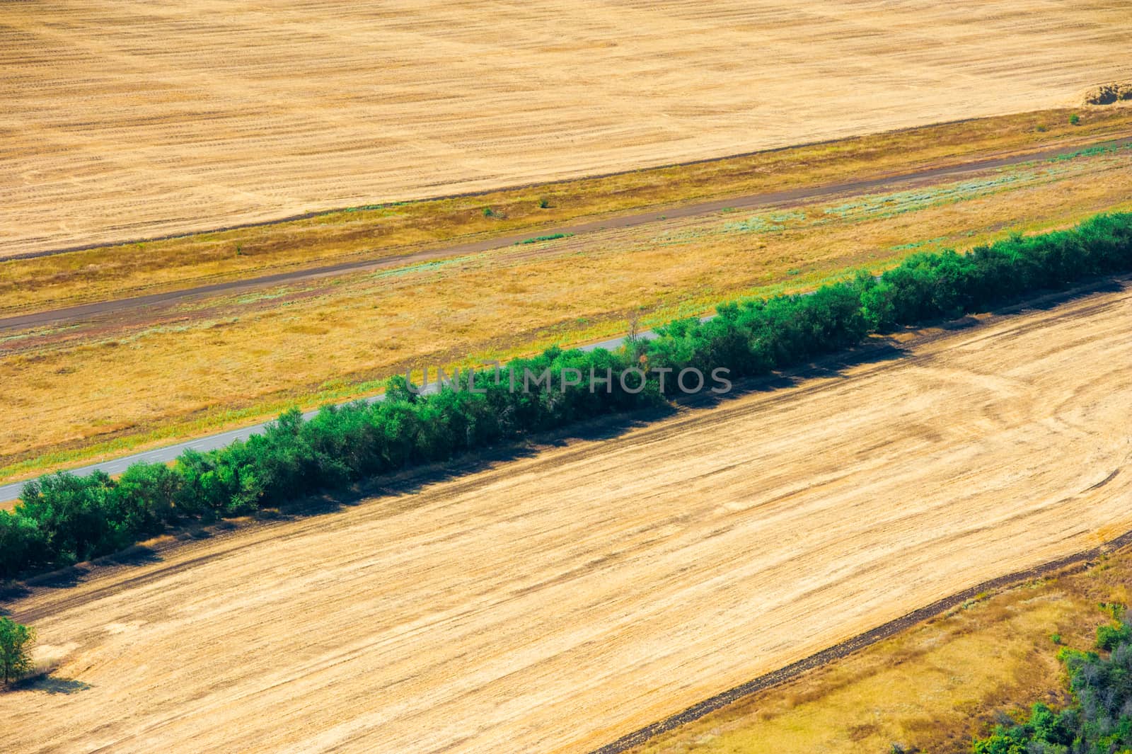 Fields and meadows. Aerial view. Landscape. by grigorenko