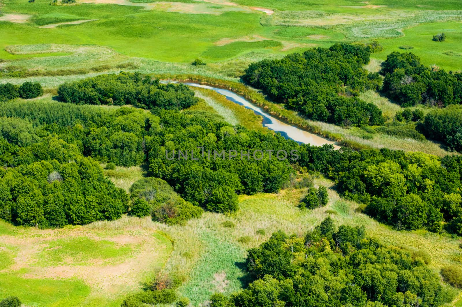 Aerial view of forest during a summer day