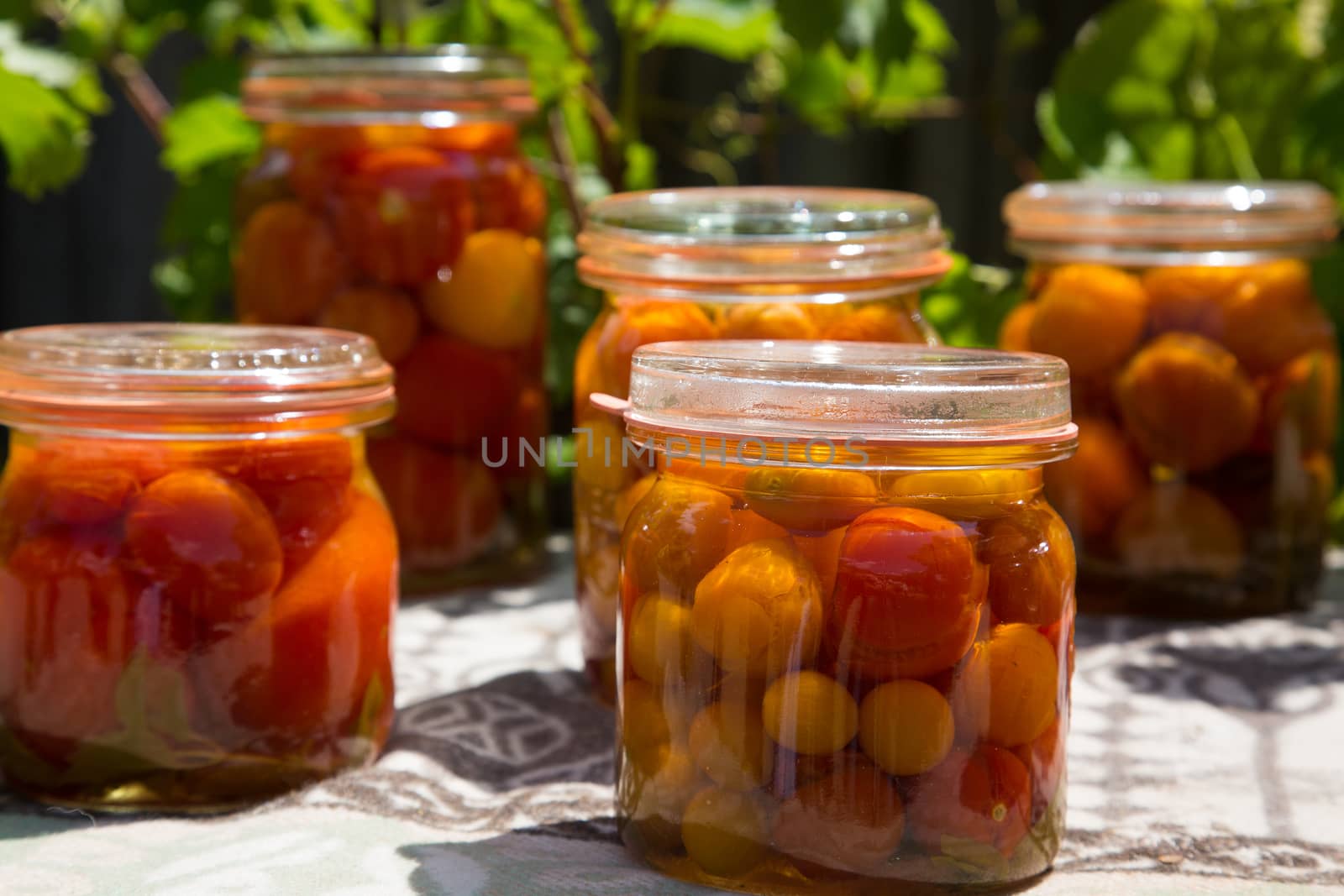 Preserved various tomatoes in glasses