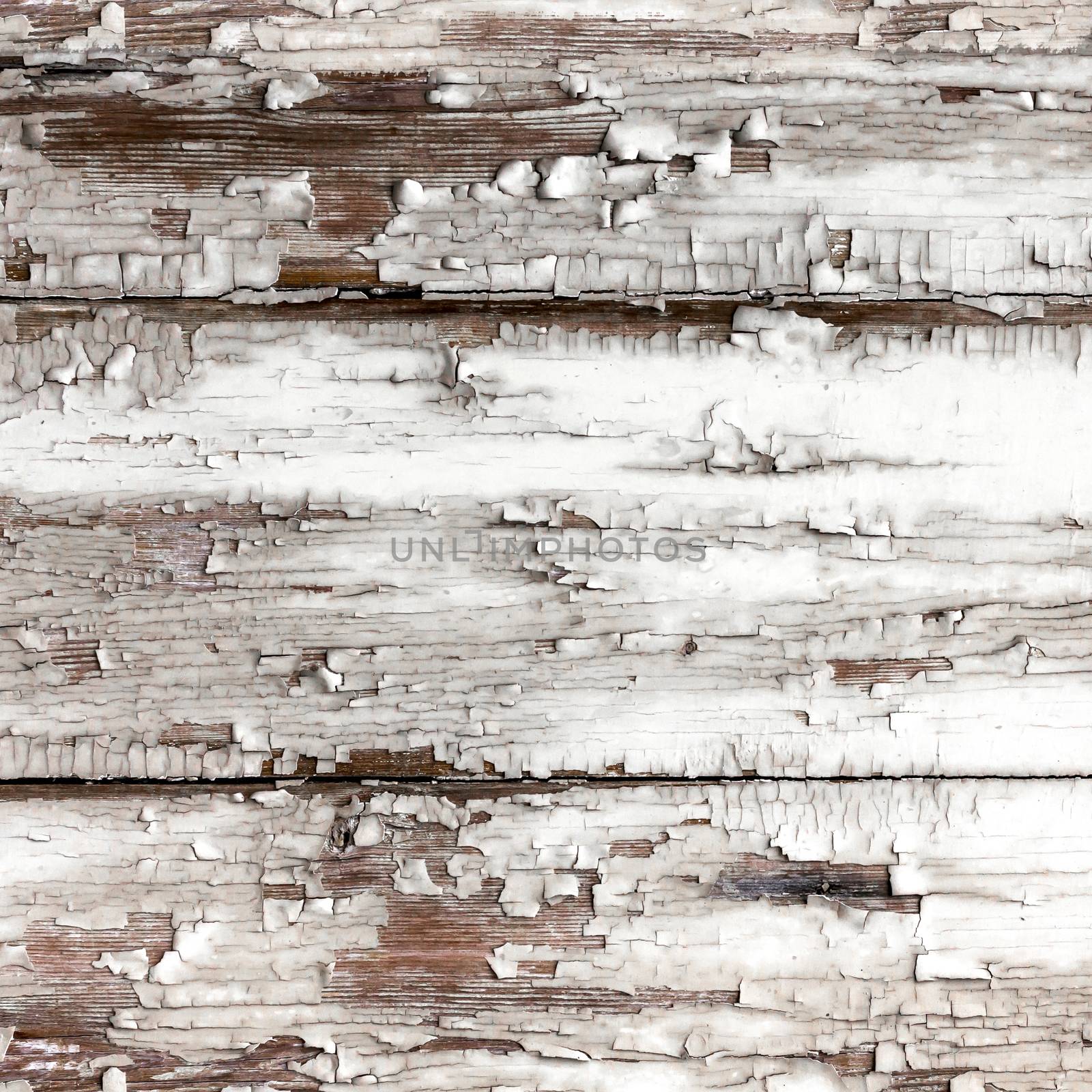 Texture wooden background by germanopoli