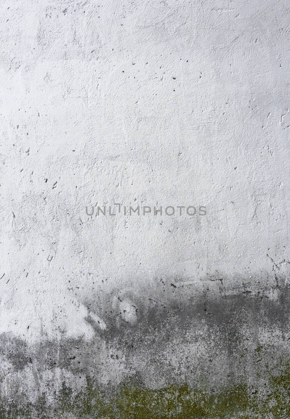 Old concrete wall, covered with green mold by germanopoli