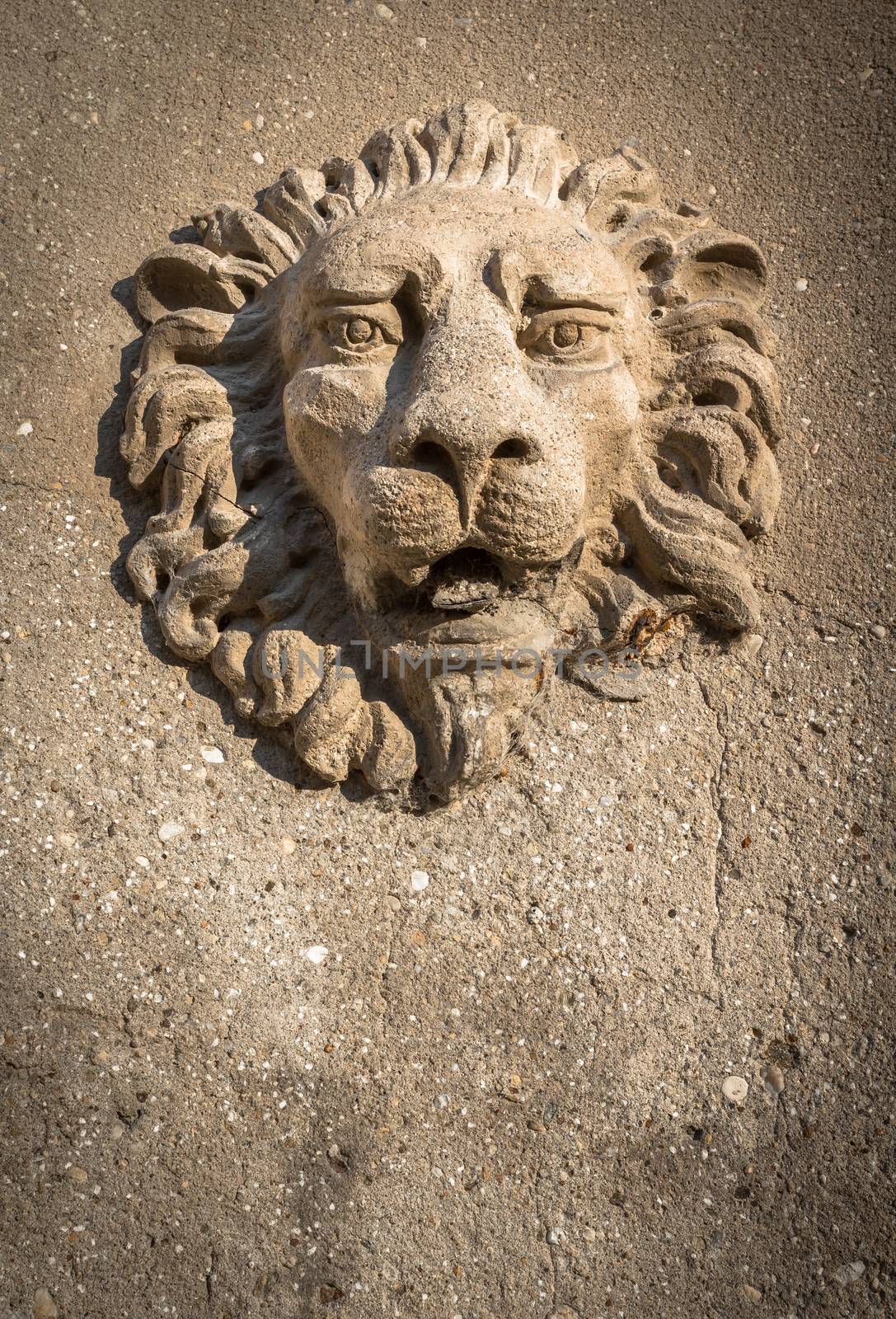 The lion of Venice, a sculptured engraving on a wall. It can be used as background. Space for text.