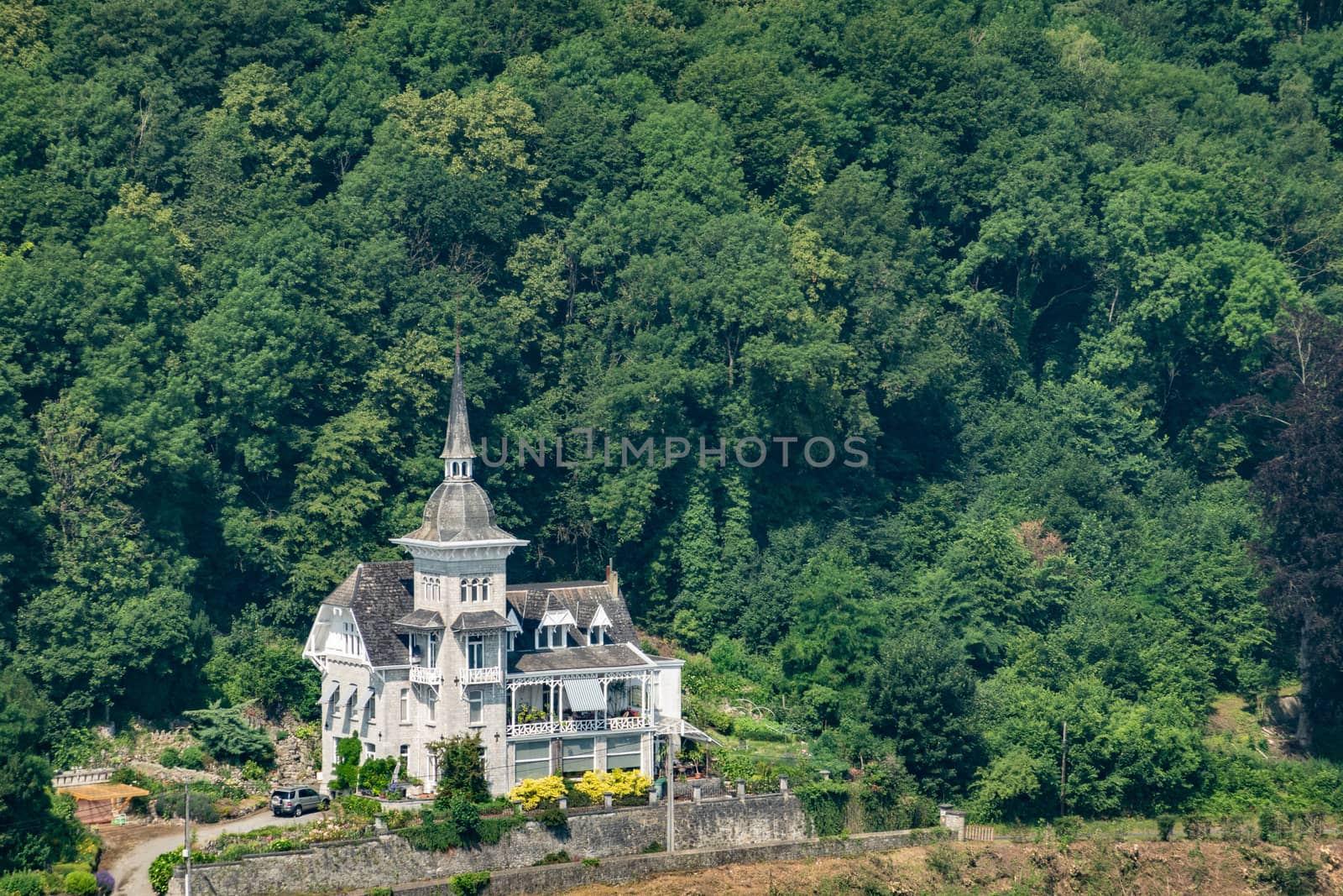 Dinant, Belgium - June 26, 2019: Seen from Citadelle. Focus on white gray historic mansion and villa set against green foliage of forest. Yellow flowers.