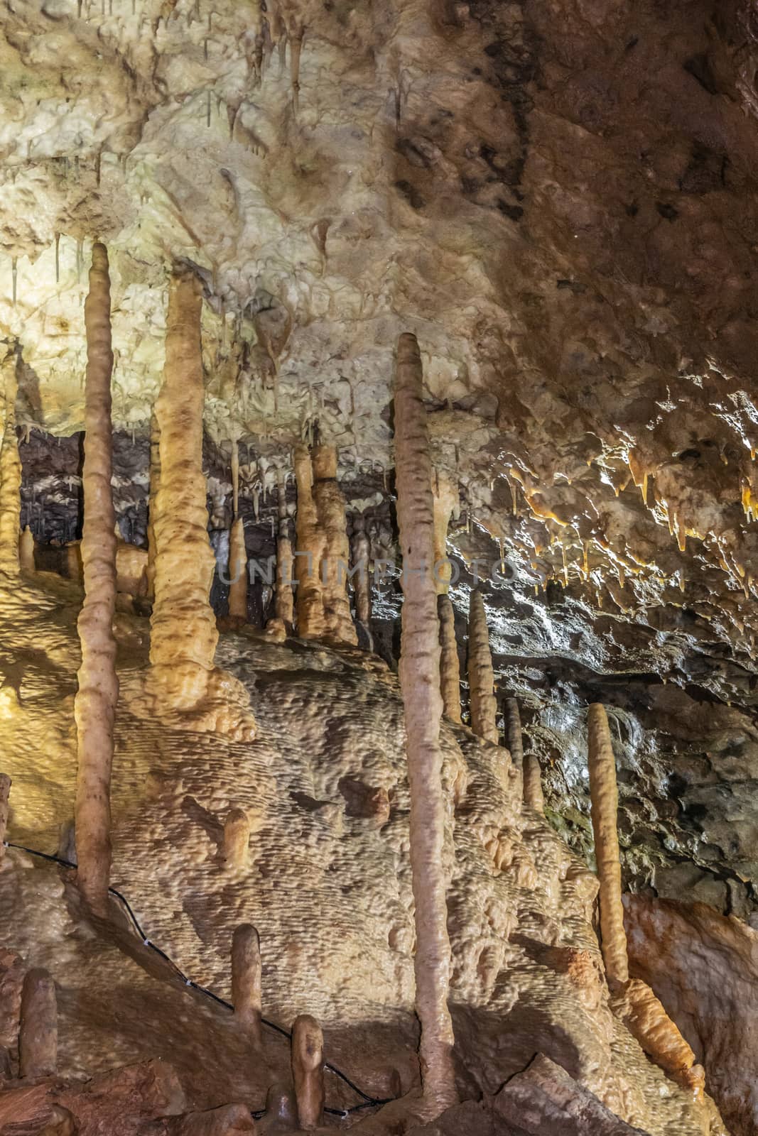 Stalagmites fused with stalactites in Grottes-de-Han, Han-sur-le by Claudine