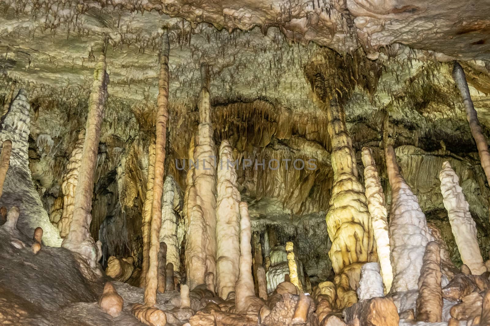 Stalagmites and stalactites in Grottes-de-Han, Han-sur-lesse, Be by Claudine