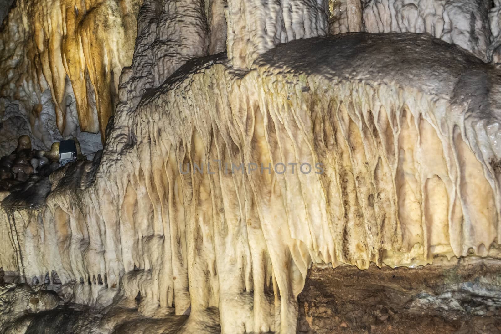 Stalactites in Grottes-de-Han, Han-sur-lesse, Belgium. by Claudine