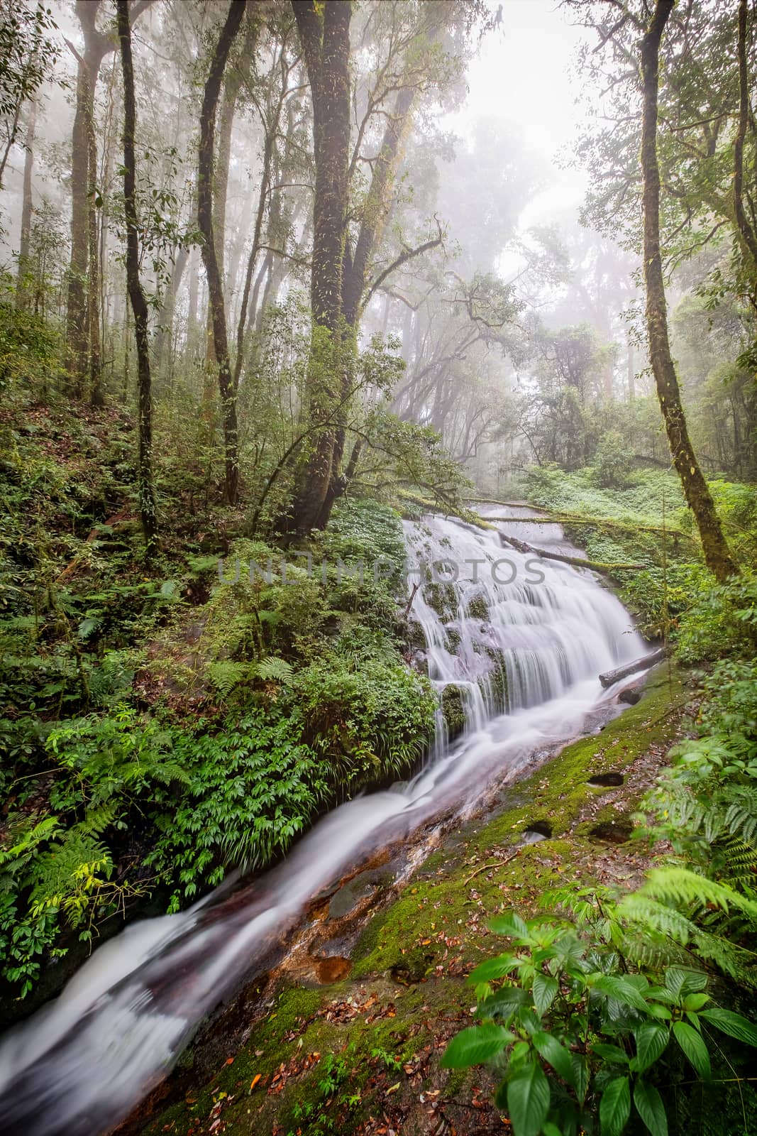 Water flowing at a beautiful waterfall at Inthanon nation park, Chiangmai, Thailand.  by Tanarch