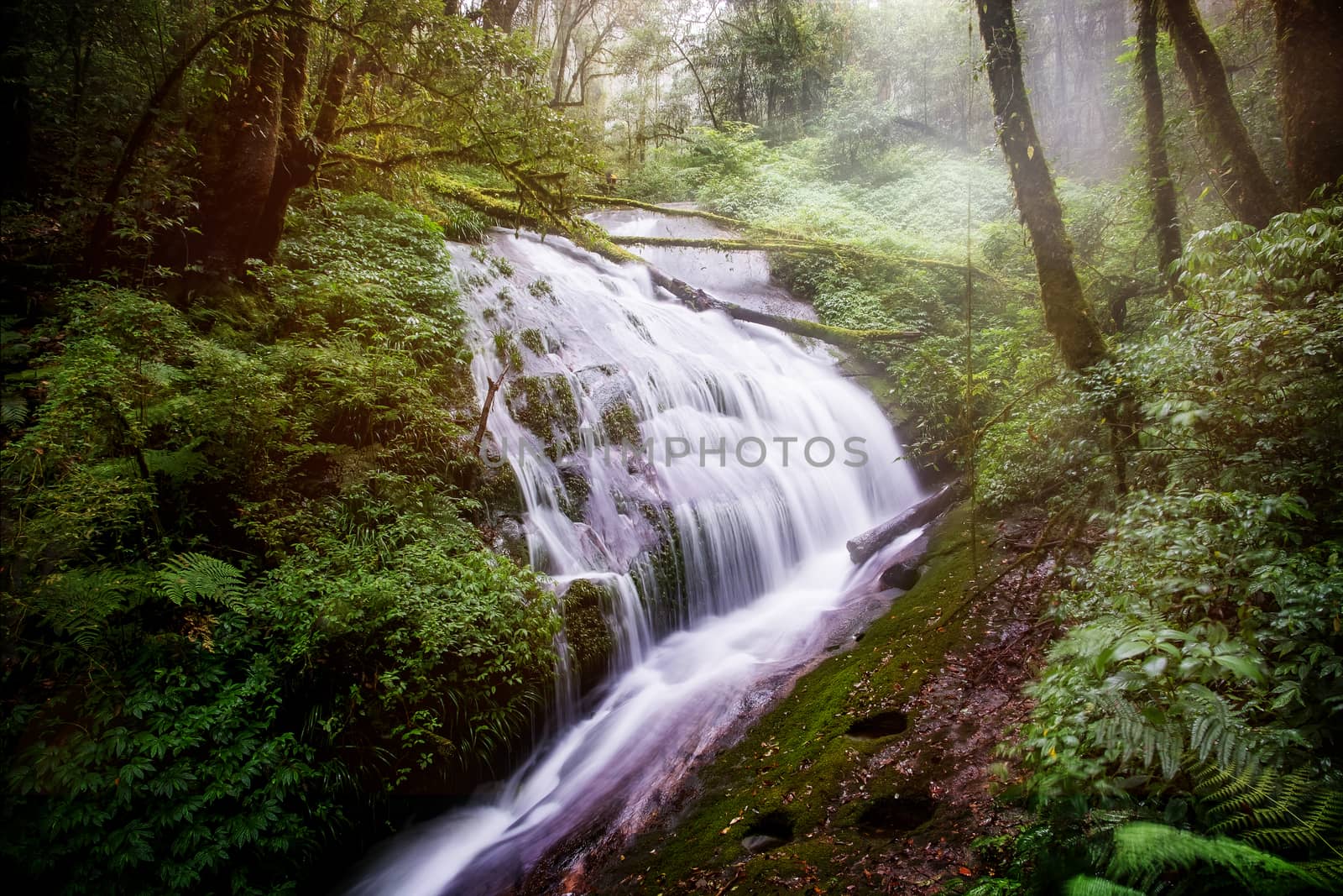 Water flowing at a beautiful waterfall at Inthanon nation park, Chiangmai, Thailand. Long exposure photography.