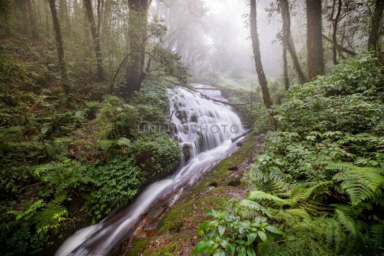 Water flowing at a beautiful waterfall at Inthanon nation park, Chiangmai, Thailand. Long exposure photography.