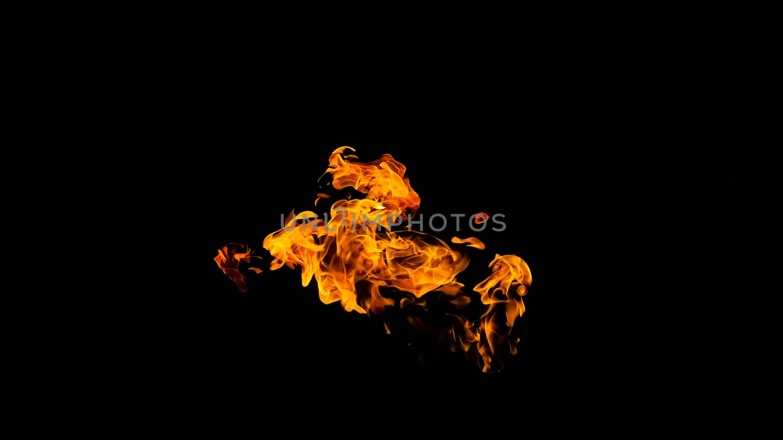 Fire flames on black background isolated. Burning gas or gasoline burns with fire and flames. Flaming burning sparks close-up, fire patterns. Infernal glow of fire in the dark with copy-space