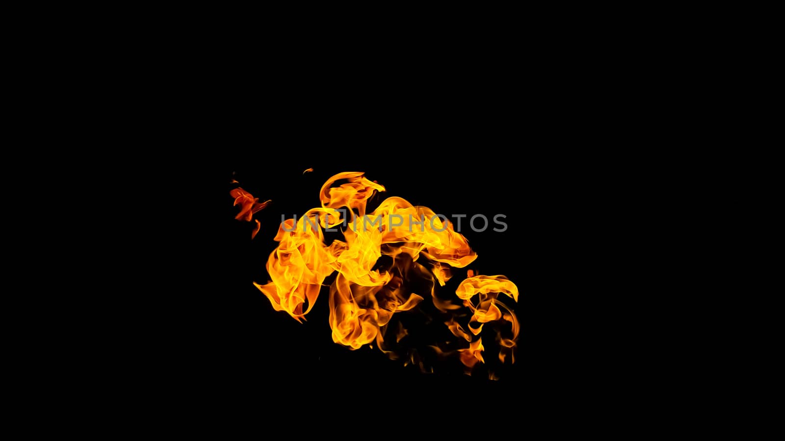 Fire flames on black background isolated. Burning gas or gasoline burns with fire and flames. Flaming burning sparks close-up, fire patterns. Infernal glow of fire in the dark with copy-space