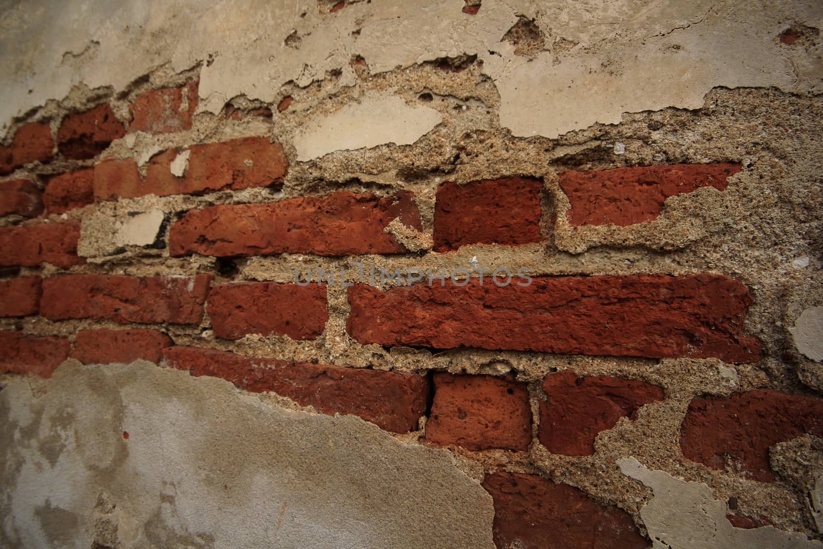 The old wall saw the bricks.