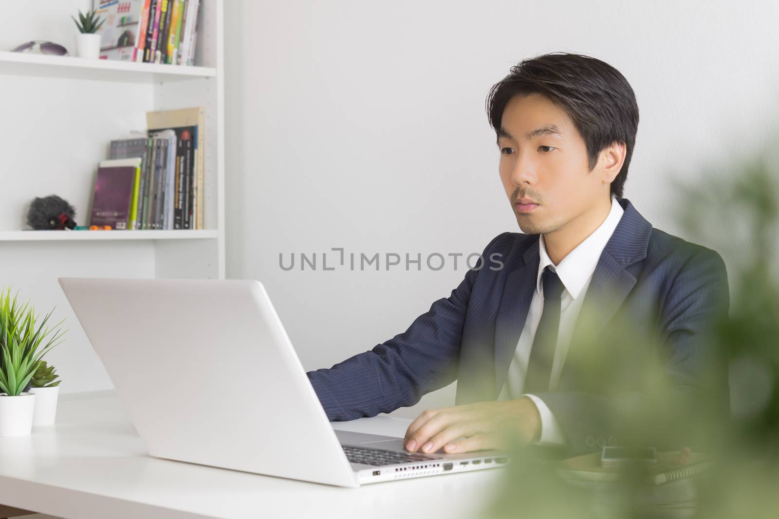 Asian Businessman In front of Laptop Monitor and Tree Foreground. Asian businessman working in office