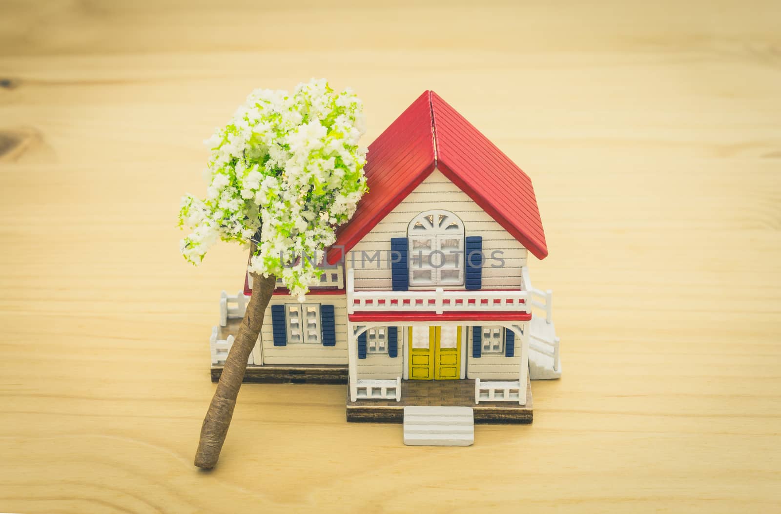 Fallen Tree Home Insurance Concept. Falling trees on home or house for insurance concept or disaster category. Home insurance concept in 
business category.
