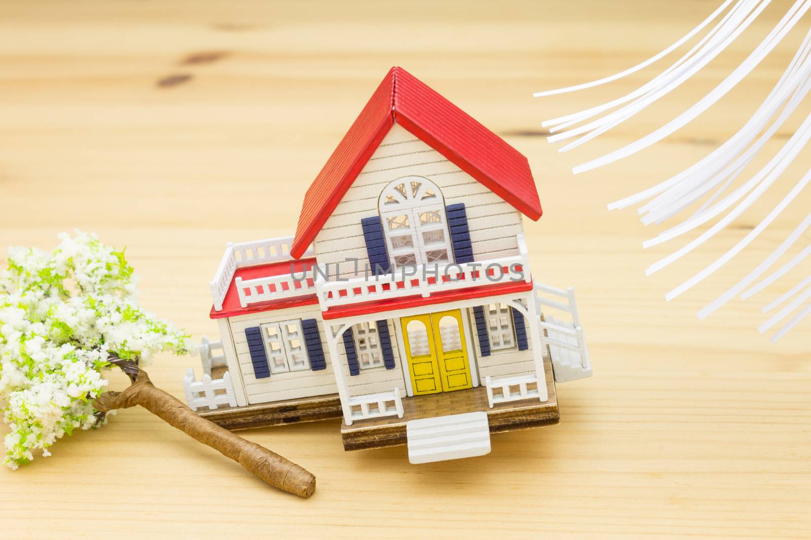 Windstorm insurance for home insurance concept. Home or house and fallen tree in windstorm insurance concept. Windstorm insurance background 
for design