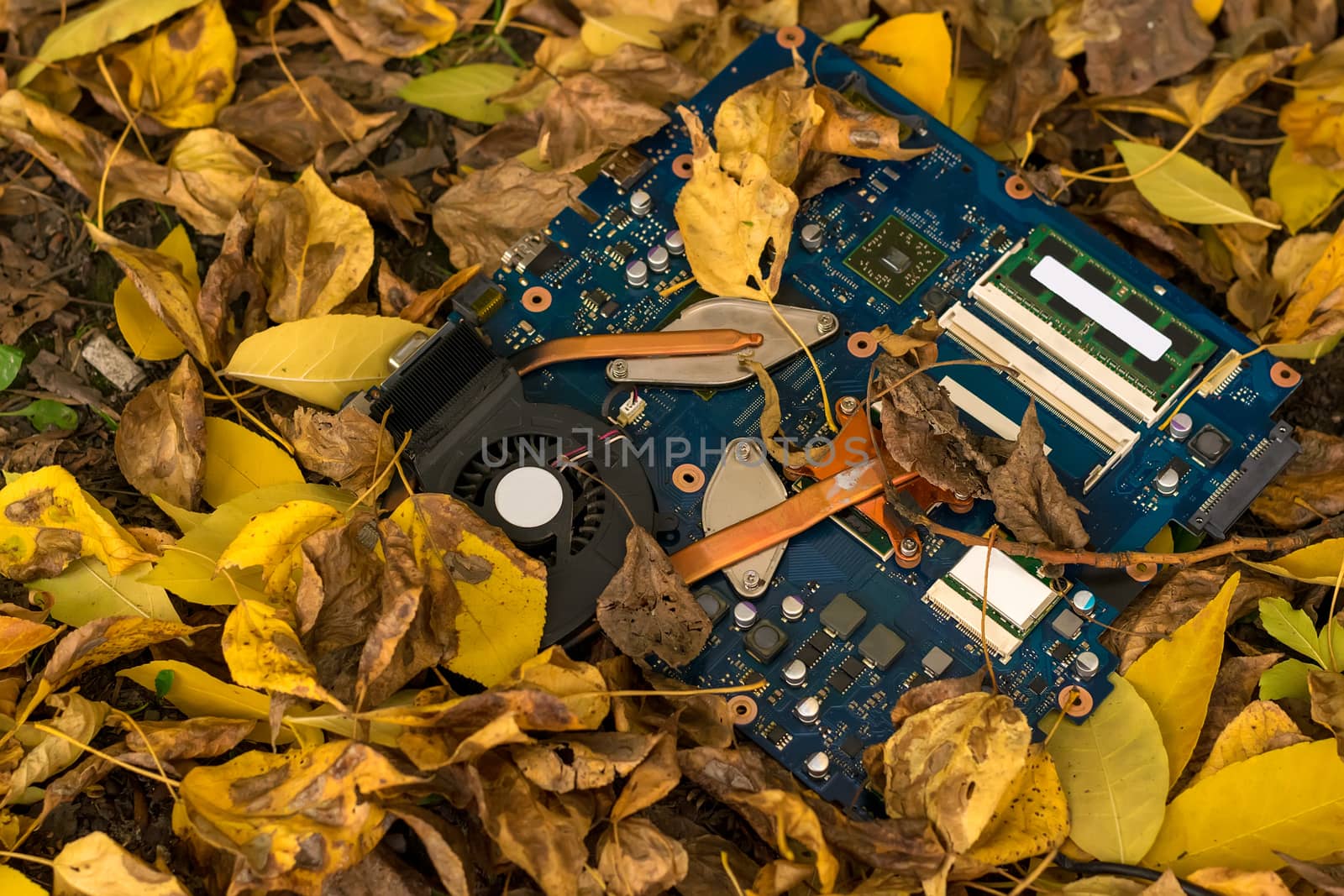 electronic circuit Board lying in autumn leaves by jk3030