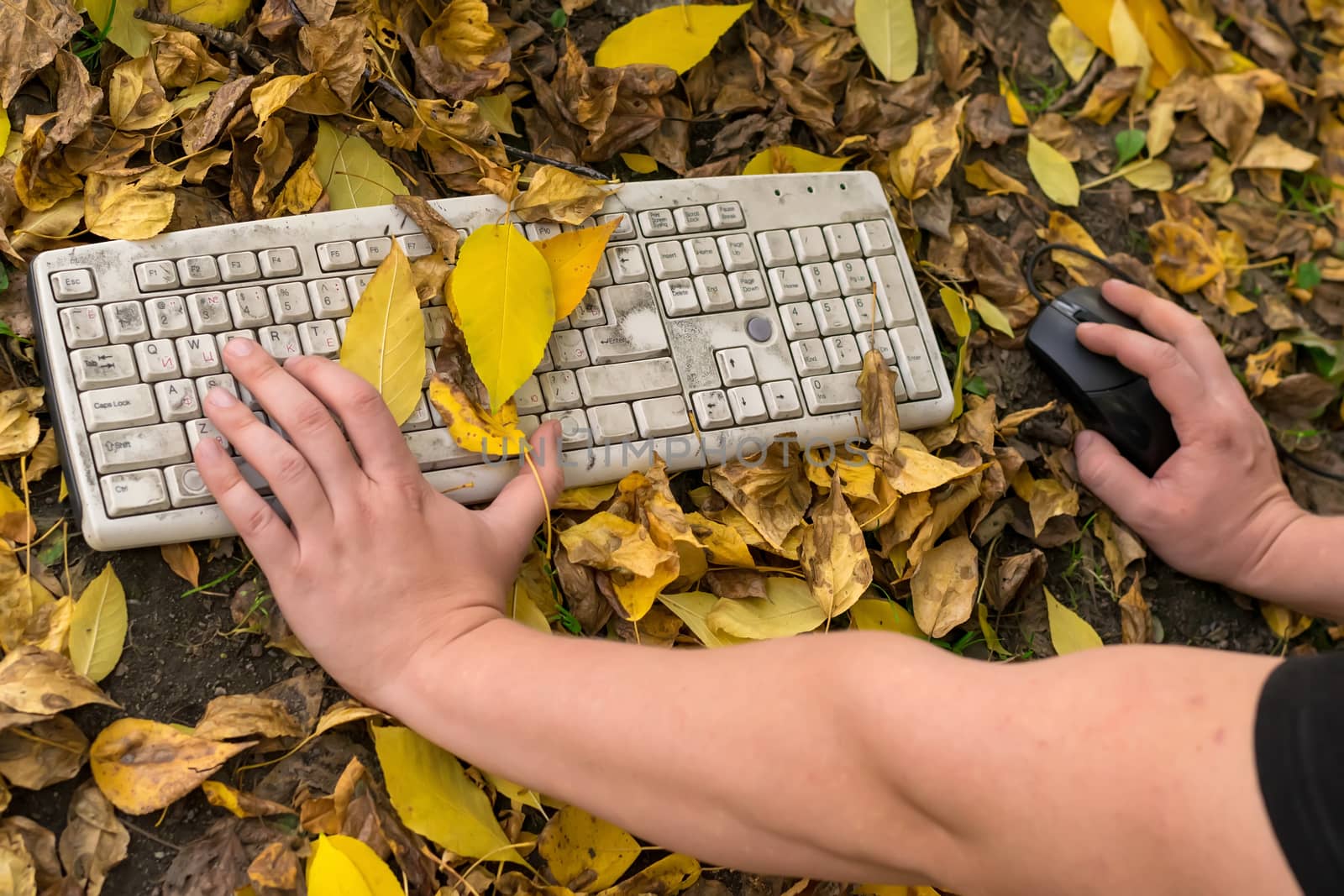 Autumn, a man working at a computer on a fallen yellow foliage in the city on the street