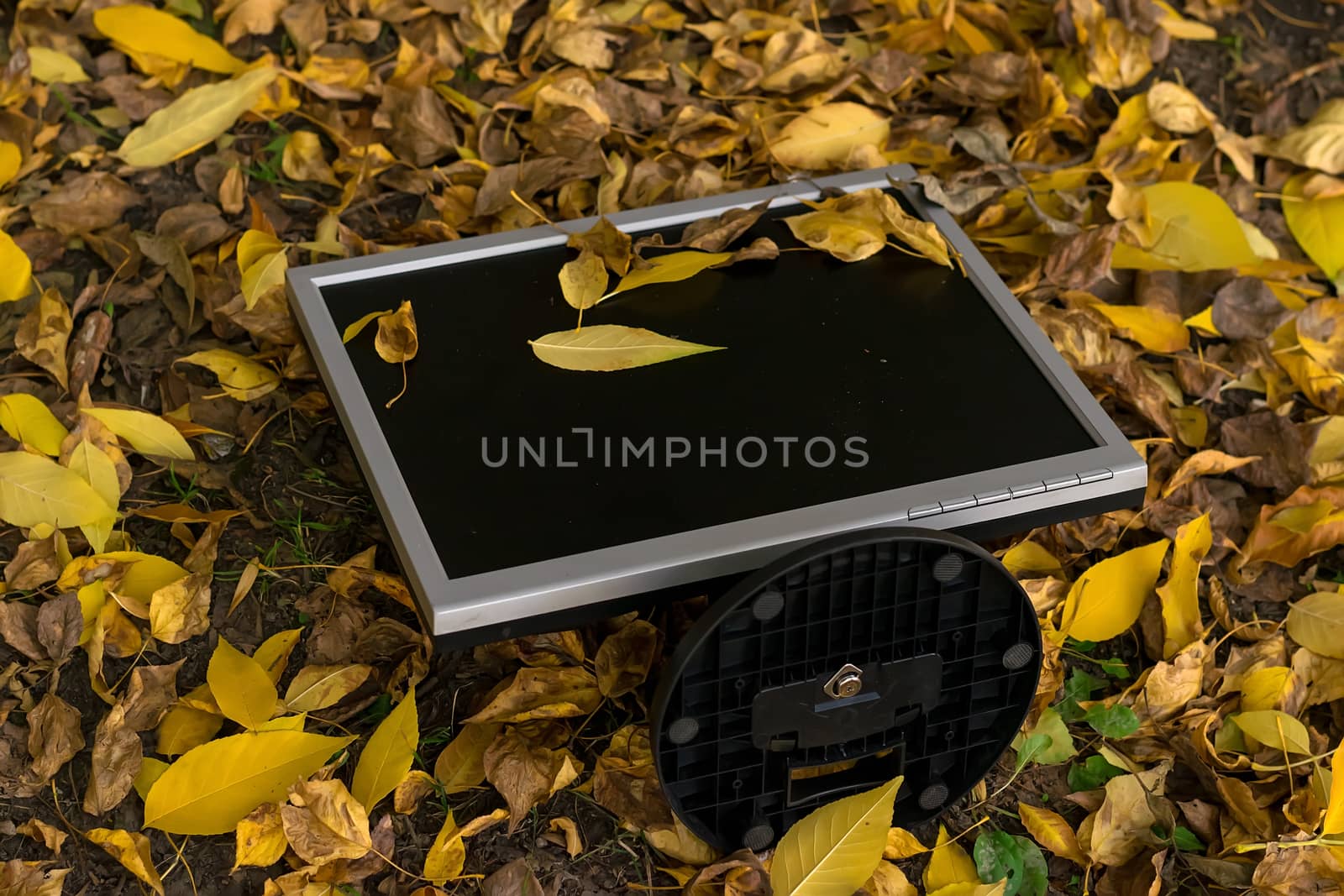 Monitor from the computer is lies on the autumn yellow foliage by jk3030