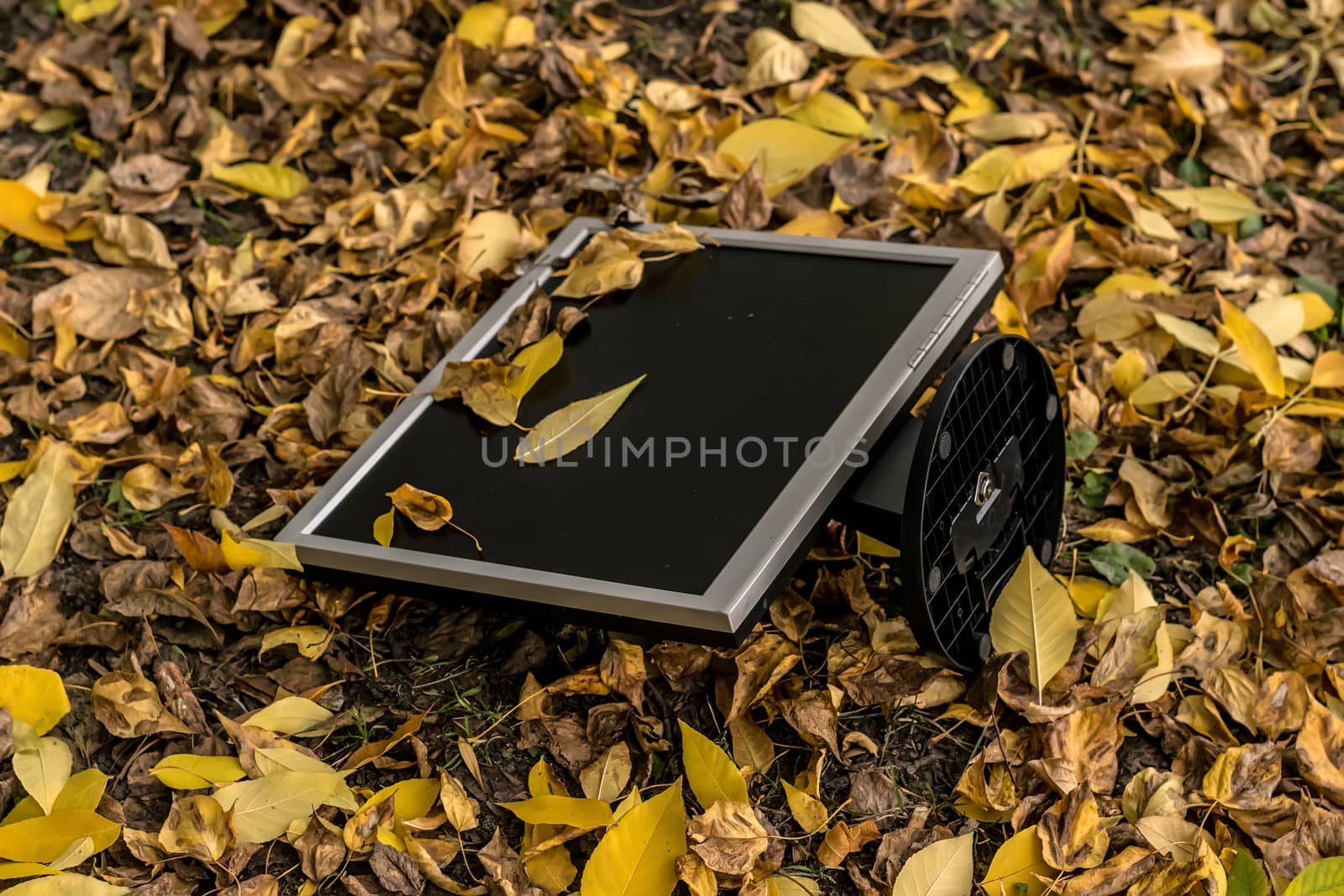Monitor from the computer is lies on the autumn yellow foliage by jk3030