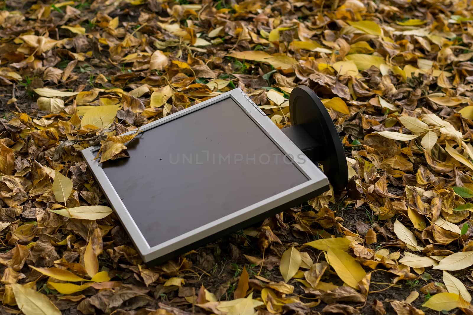 Monitor from the computer is lies on the autumn yellow foliage in the yard by jk3030