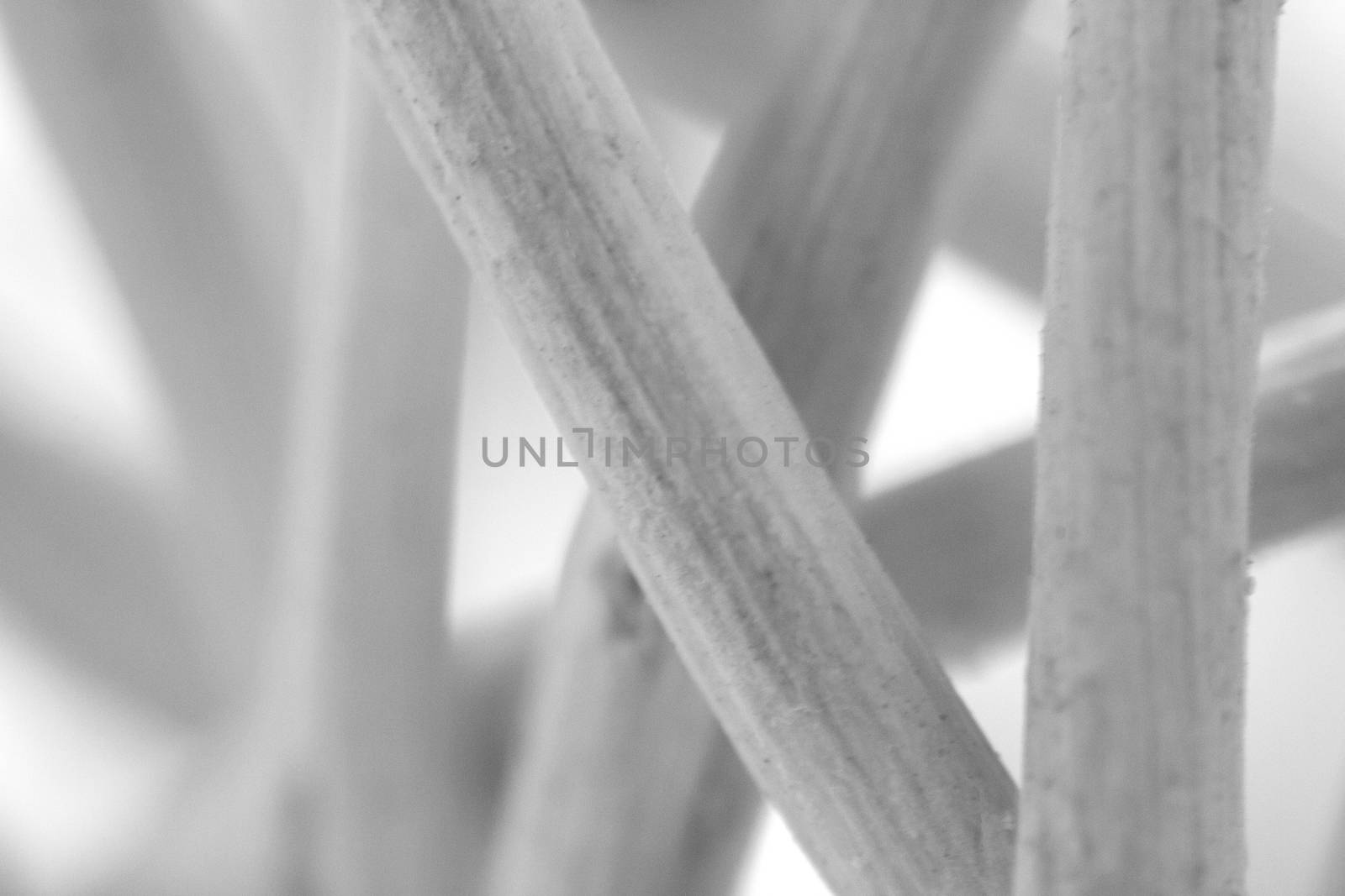 Creating artistic colored background from macro shot of dried woven vegetal fiber microscope photography