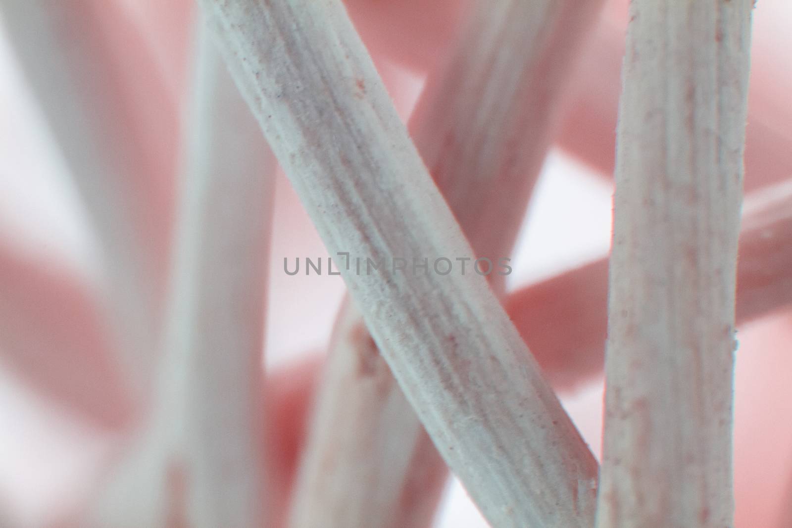 Creating artistic colored background from macro shot of dried woven vegetal fiber microscope photography