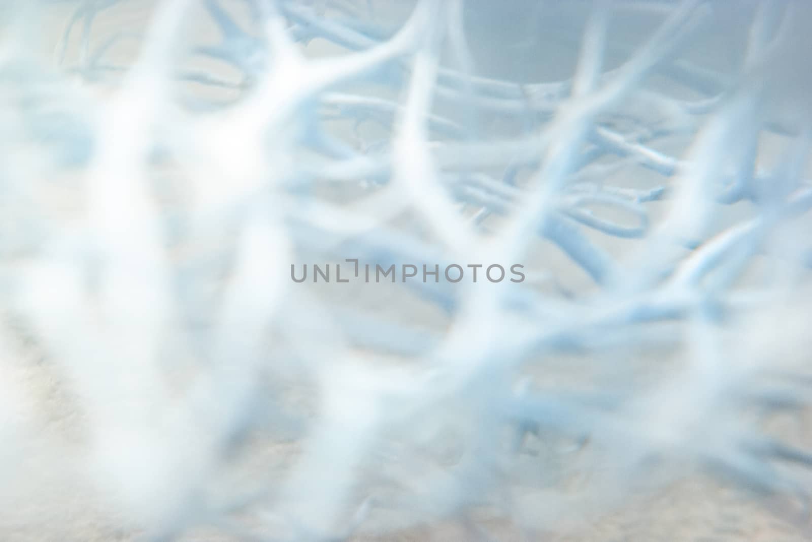 Artistic colored background creation from macro photo shot of dried sea sponge