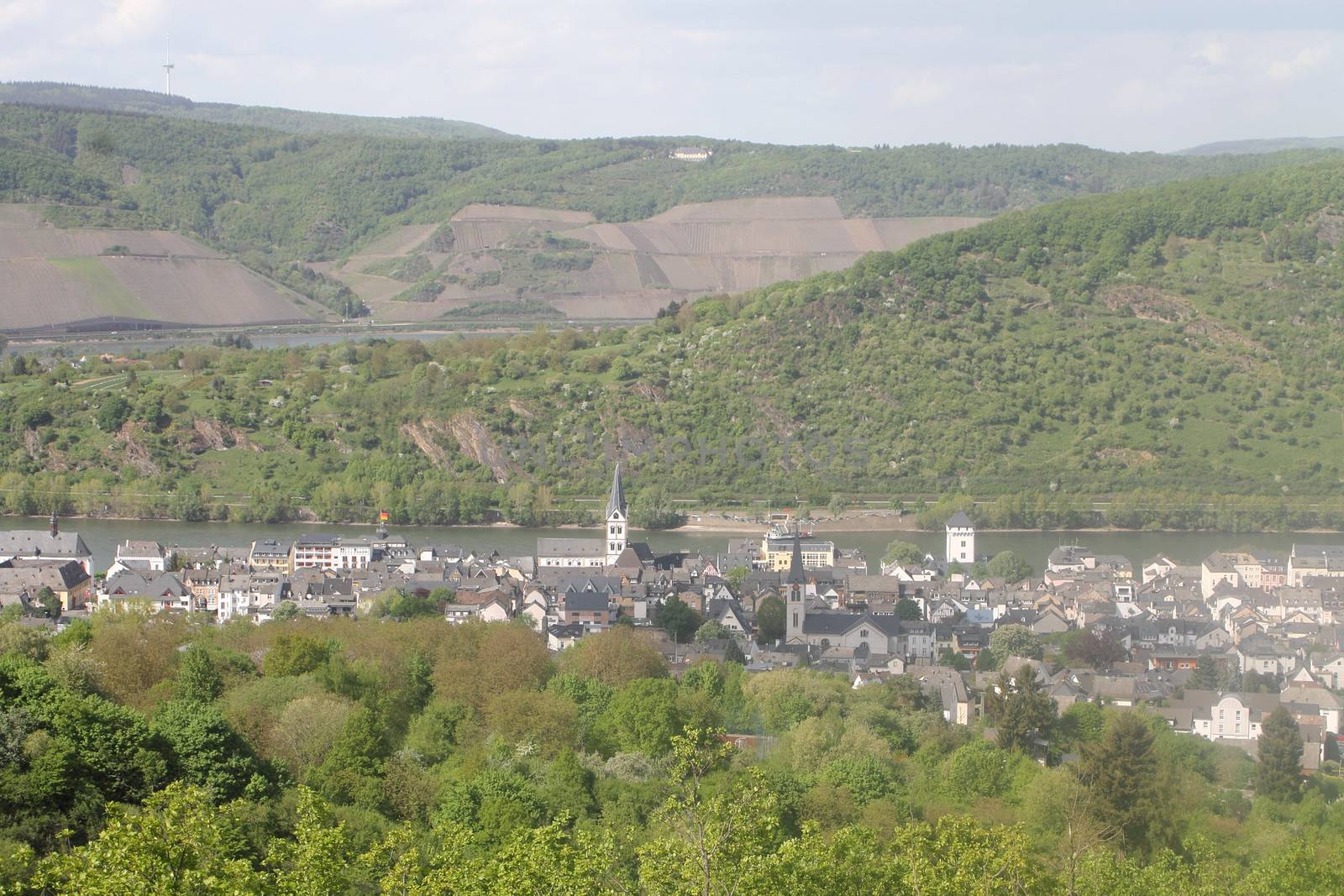 View of Boppard- Rhine Valley - Germany