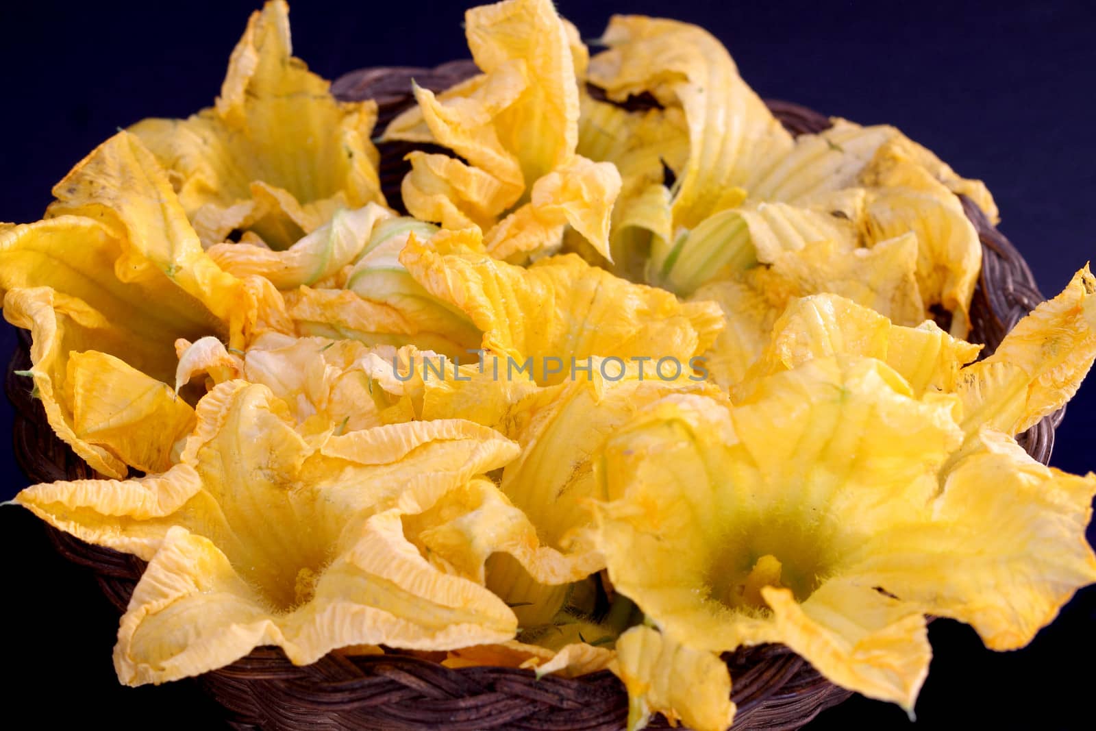 Pumpkin flowers on dark background by Rossella