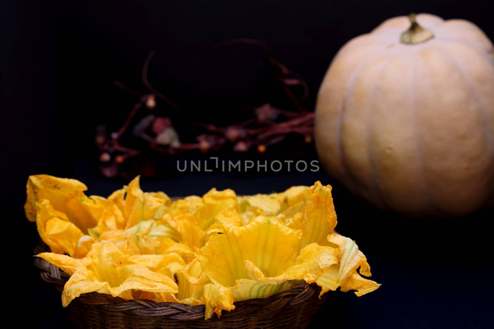 Pumpkin flowers and pumpkin on dark background