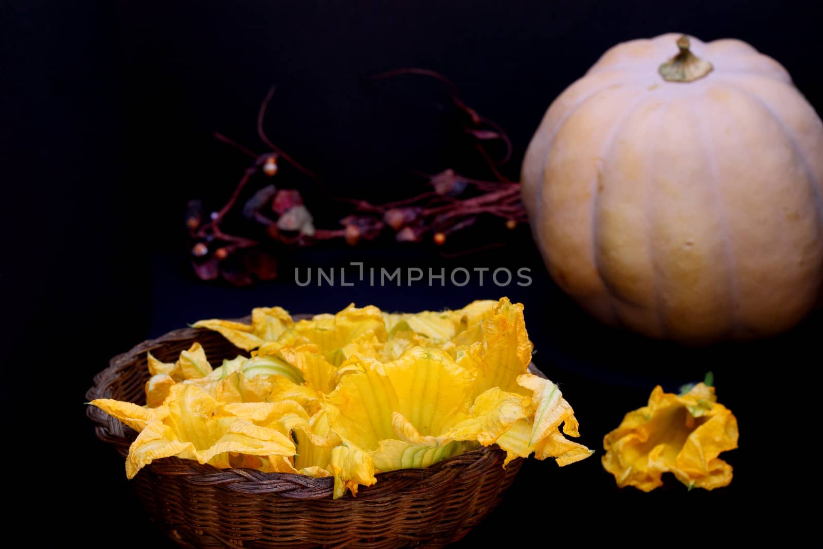 Pumpkin flowers and pumpkin on dark background by Rossella