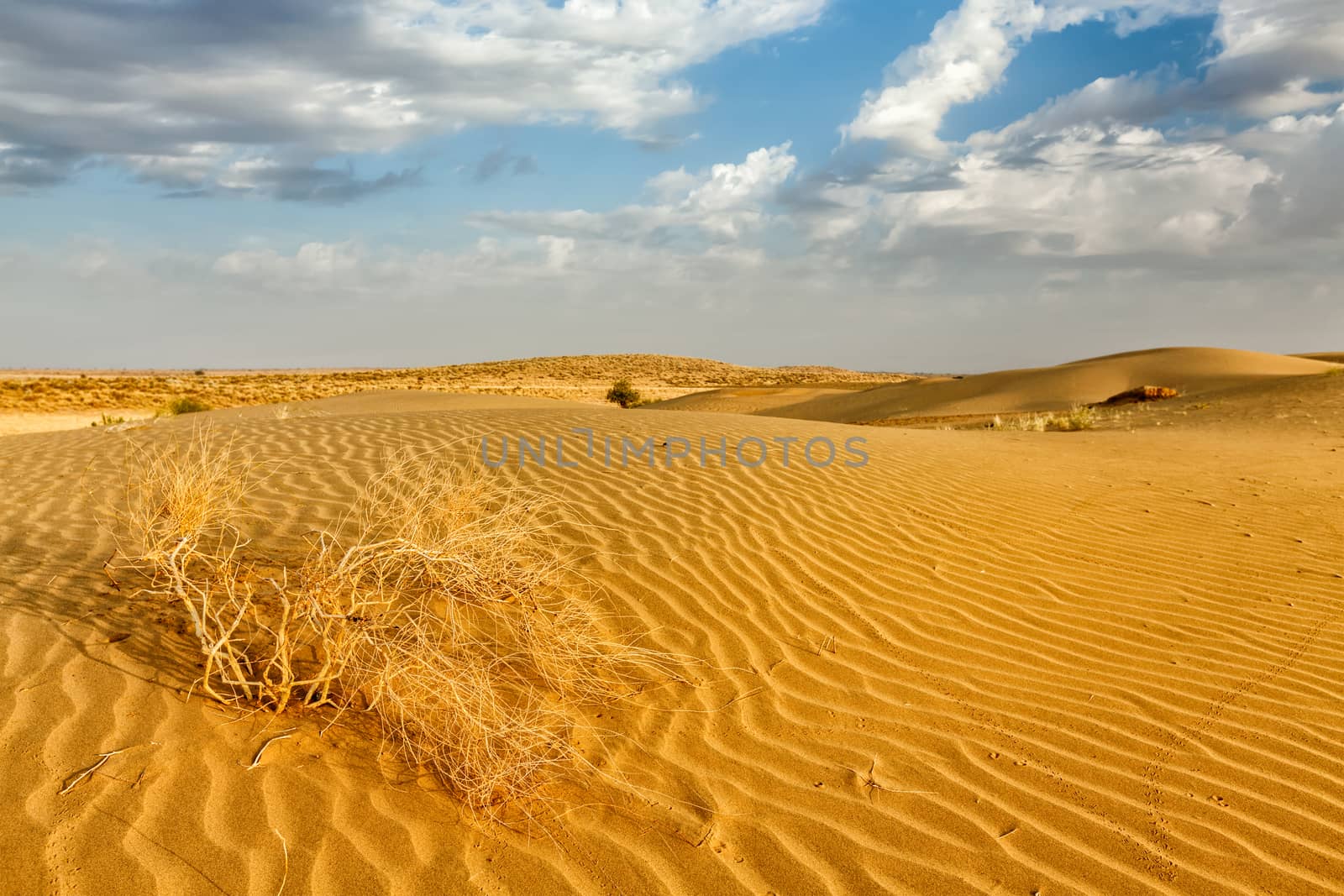 Sand dunes in desert by dimol