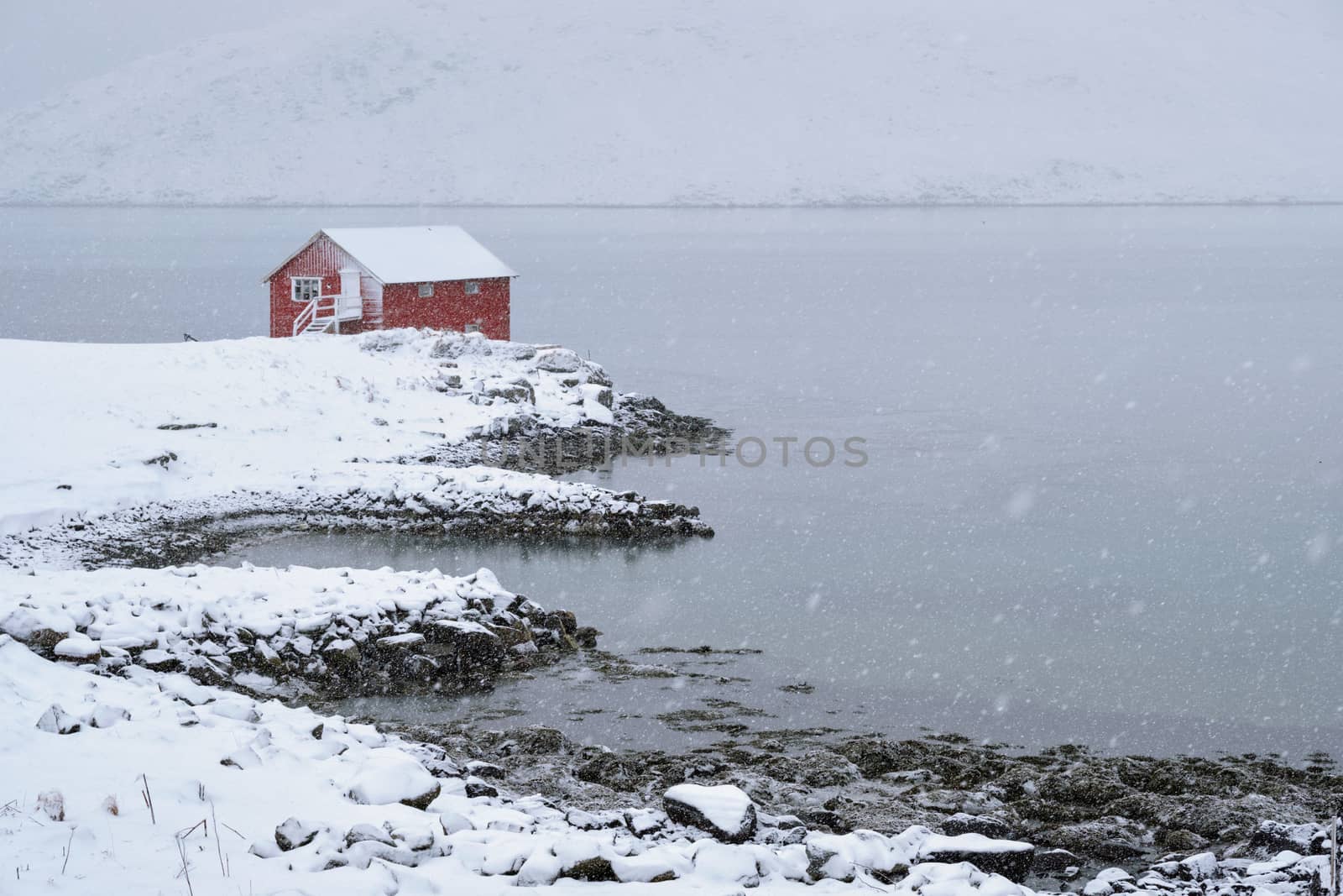 Red rorbu house in winter, Lofoten islands, Norway by dimol