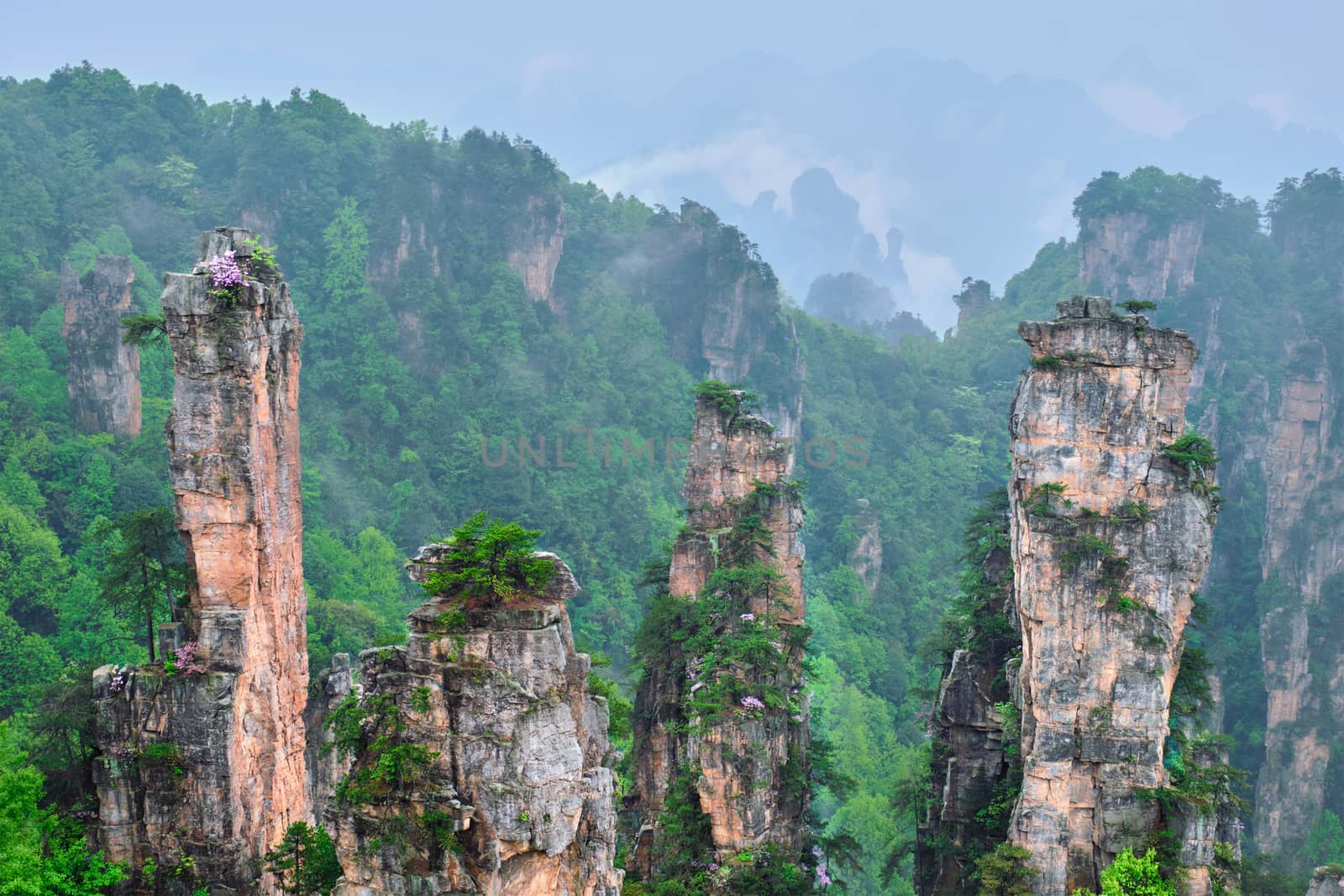 Zhangjiajie mountains, China by dimol