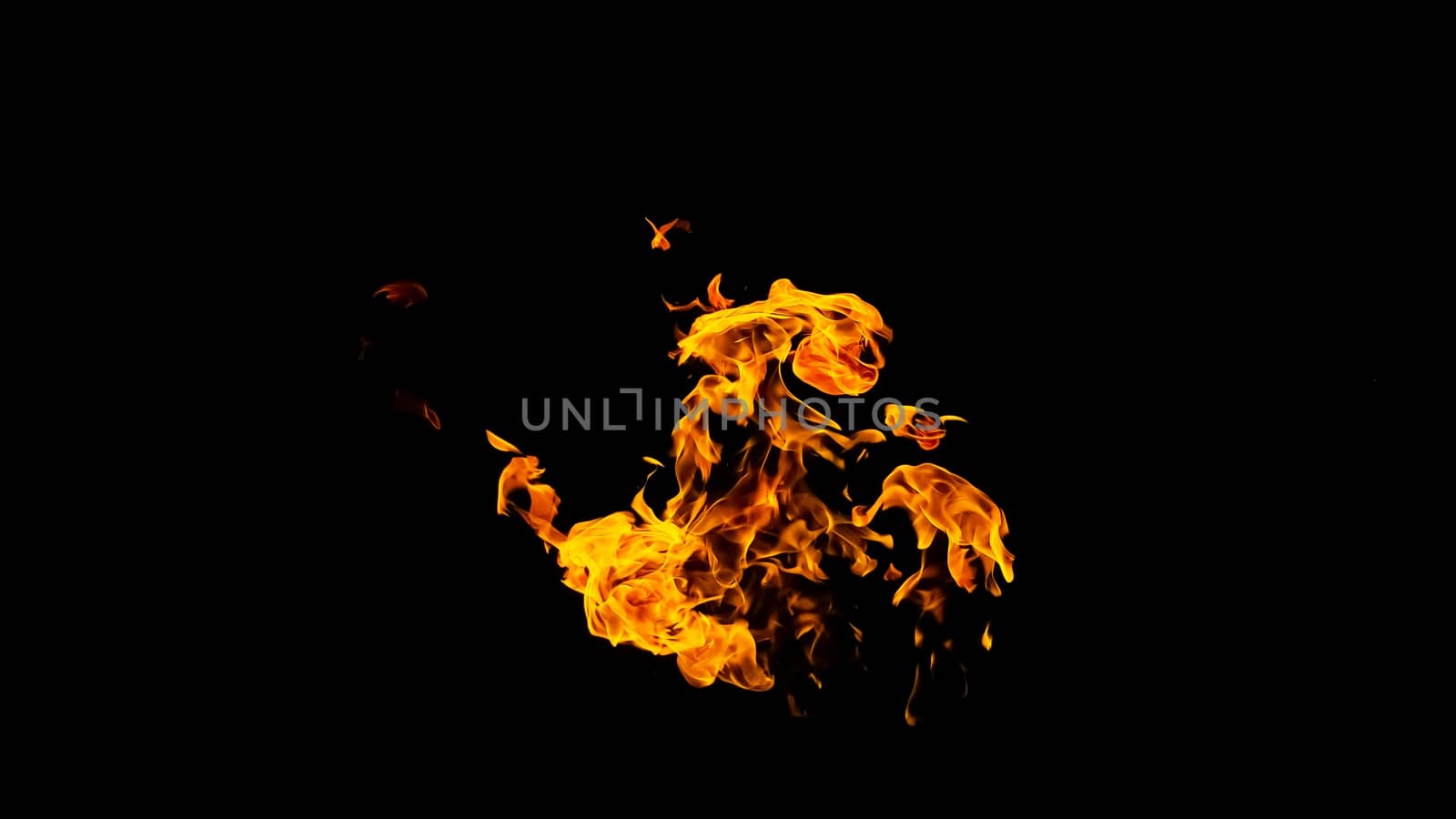 Fire flames on black background isolated. Burning gas or gasoline burns with fire and flames. Flaming burning sparks close-up, fire patterns. Infernal glow of fire in the dark with copy-space