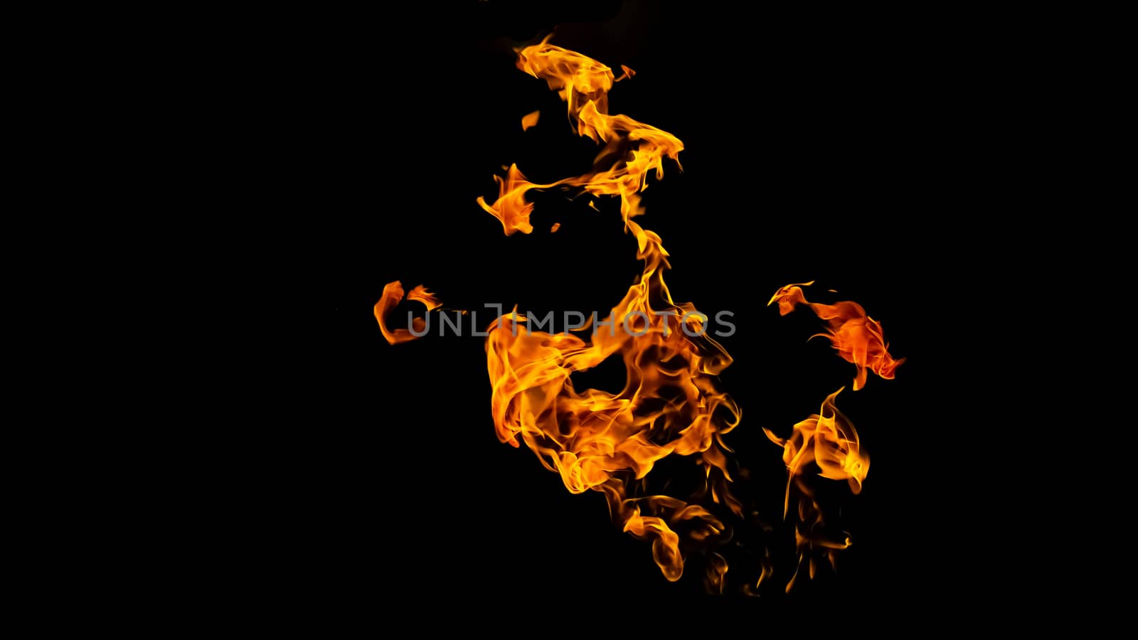 Fire flames on black background isolated. Burning gas or gasoline burns with fire and flames. Flaming burning sparks close-up, fire patterns. Infernal glow of fire in the dark with copy-space