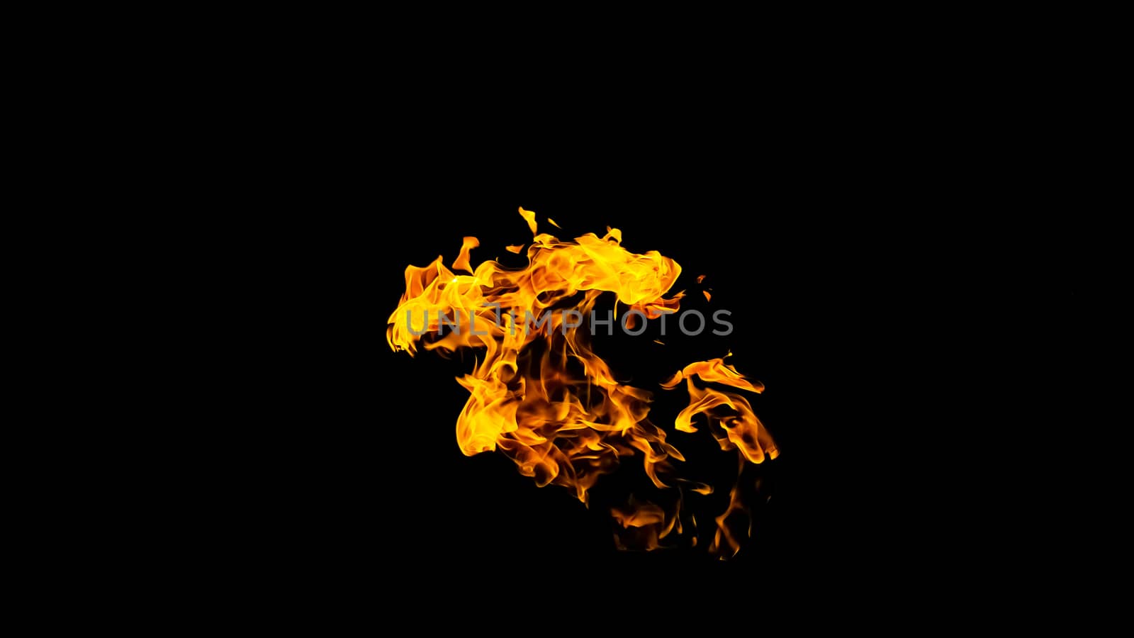 Fire flames on black background isolated. Burning gas or gasoline burns with fire and flames. Flaming burning sparks close-up, fire patterns. Infernal glow of fire in the dark with copy-space