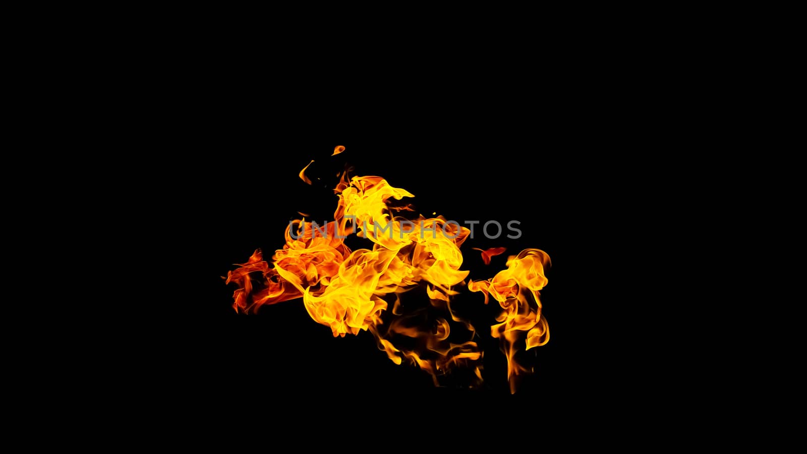 Fire flames on black background isolated. Burning gas or gasolin by YevgeniySam