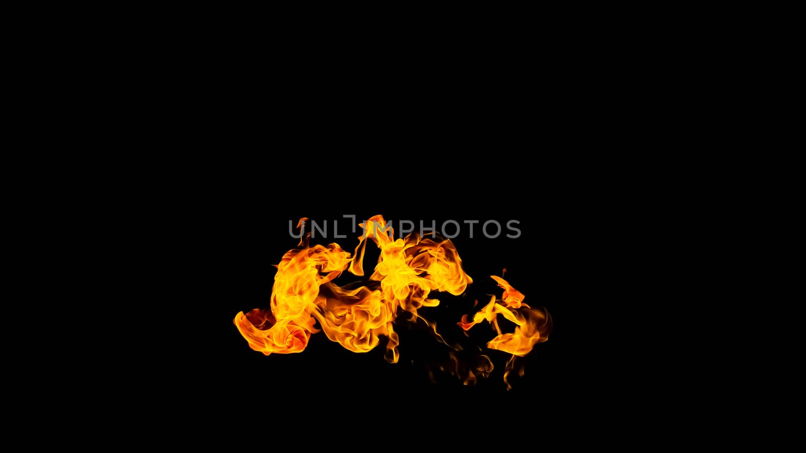 Fire flames on black background isolated. Burning gas or gasoline burns with fire and flames. Flaming burning sparks close-up, fire patterns. Infernal glow of fire in the dark with copy-space